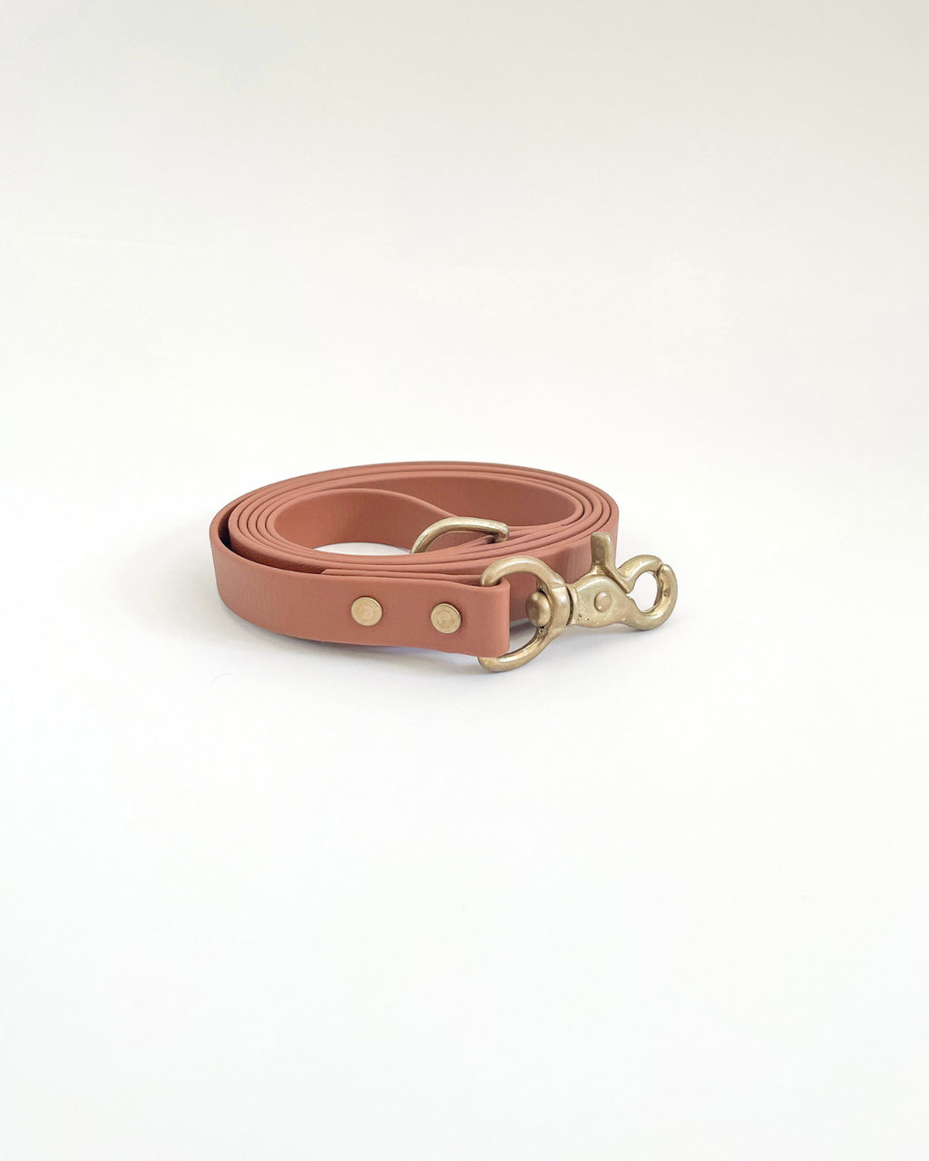 Classic Leash image 0