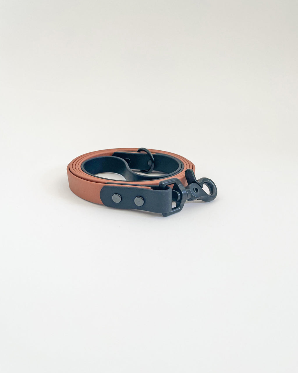 Two Tone Classic Leash image 2