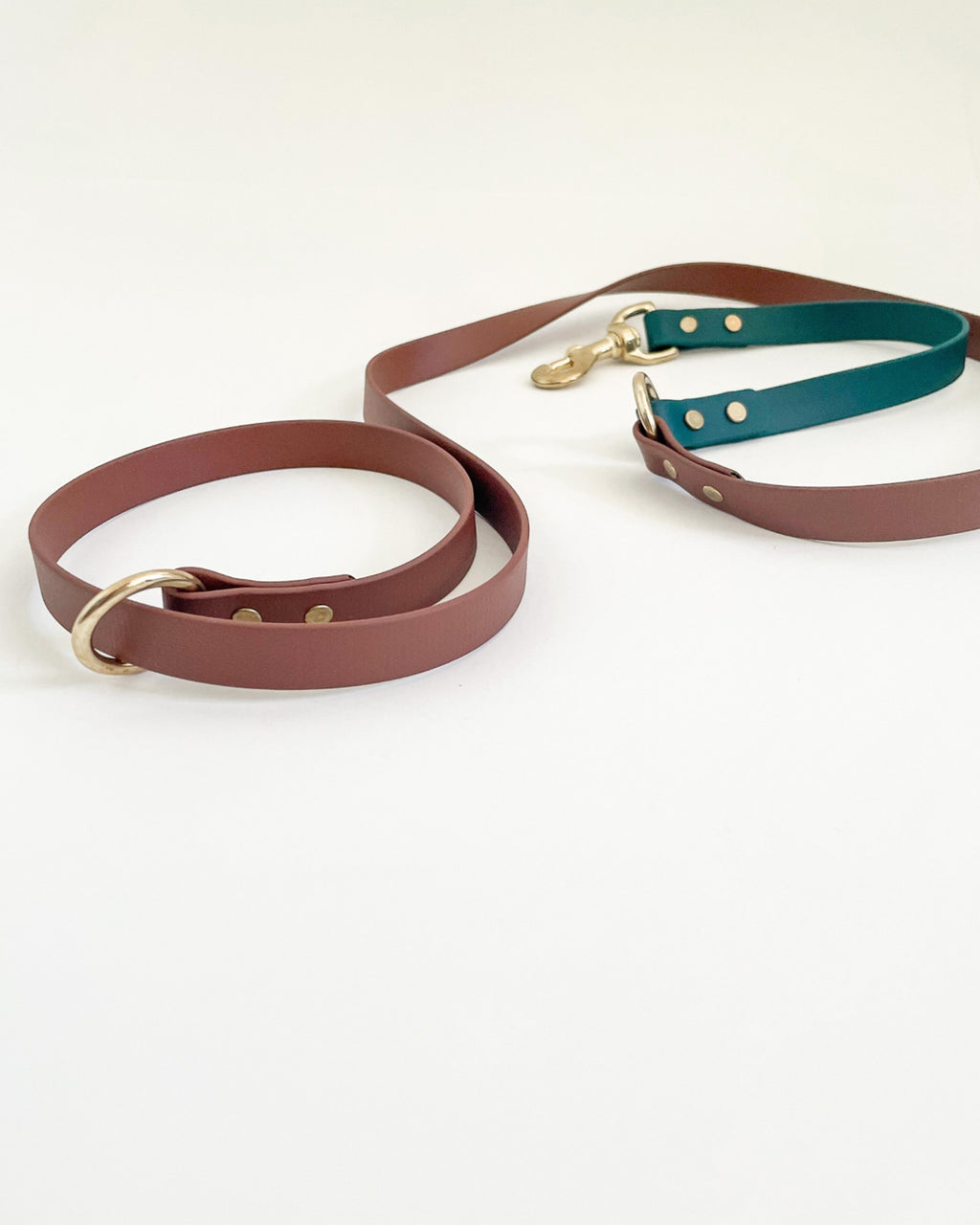 2-in-1 Slip Lead image 5