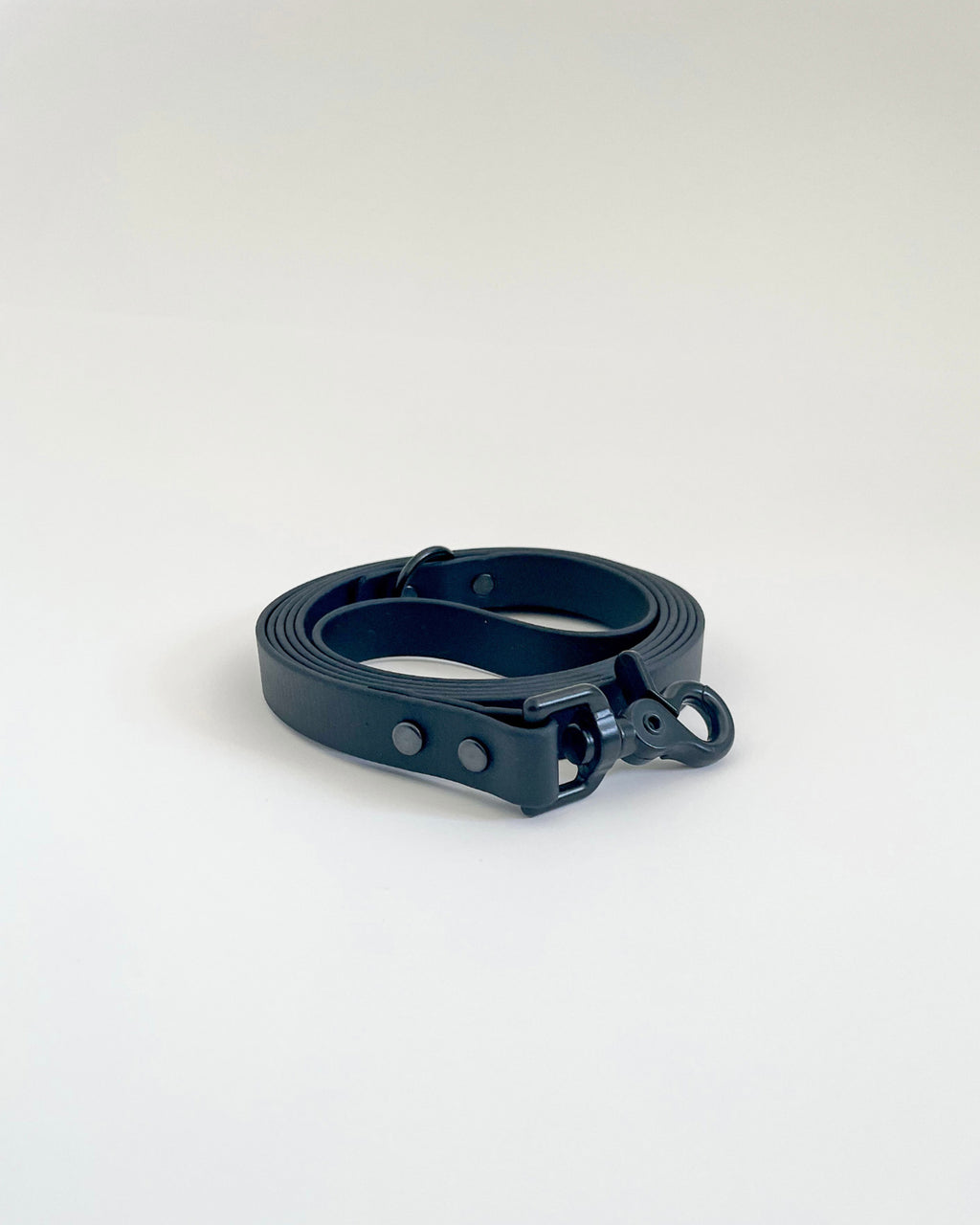 Classic Leash image 4