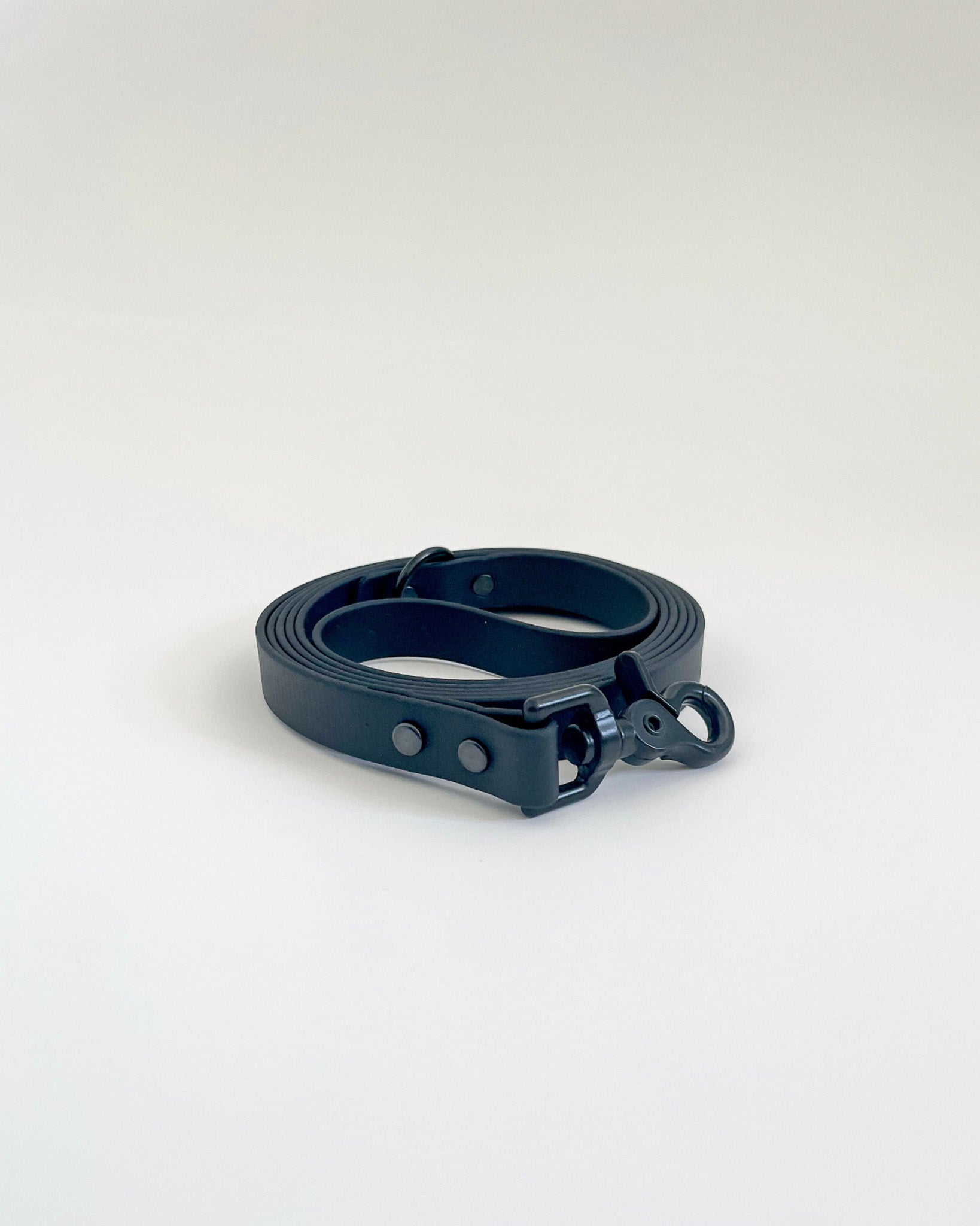 Classic Leash image 4