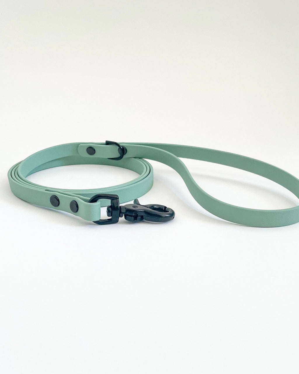 Thin Classic Leash image 11