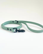 Thin Classic Leash image 11