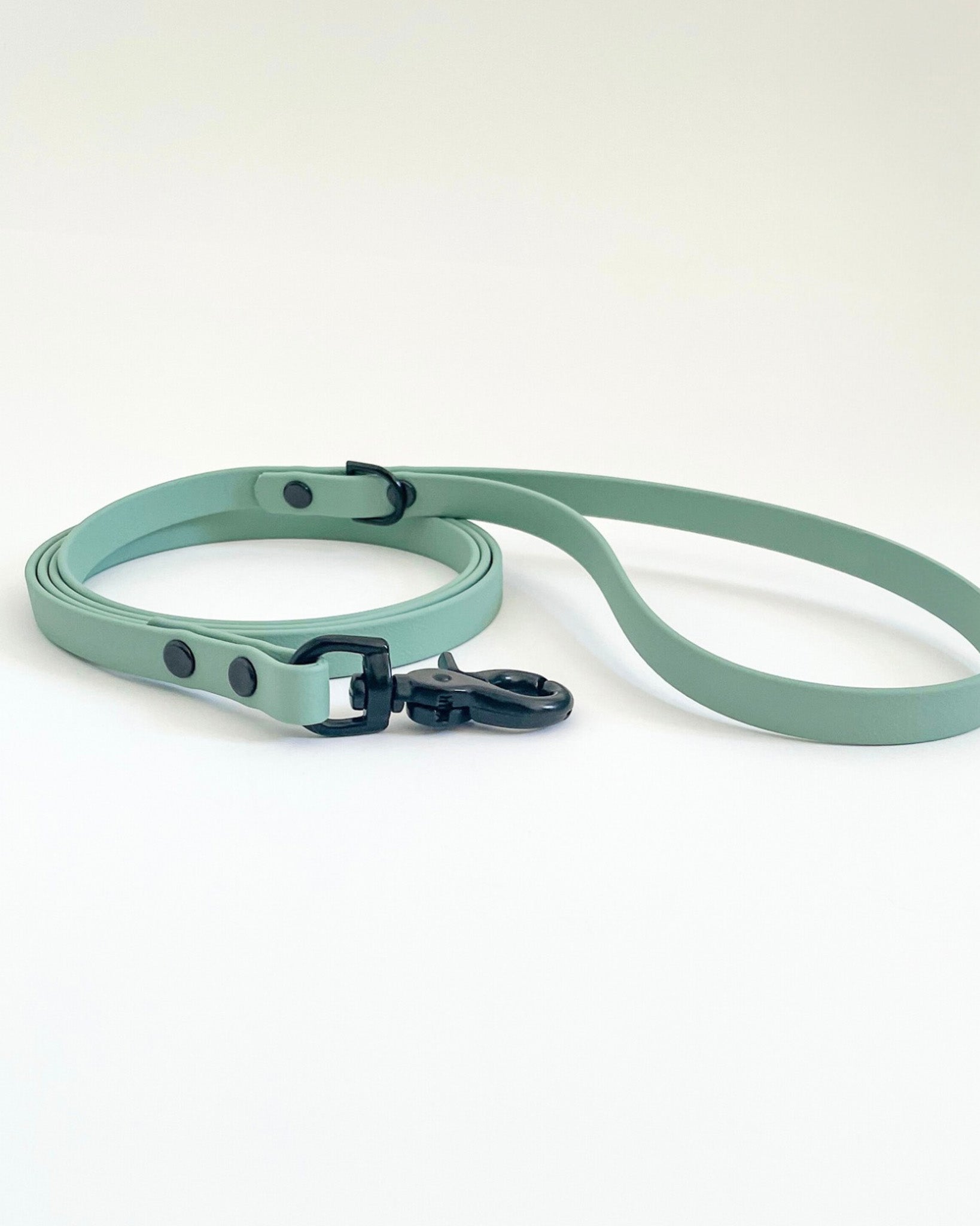 Thin Classic Leash image 11