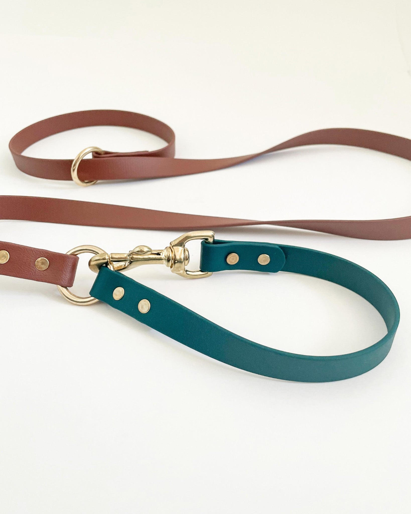 2-in-1 Slip Lead image 6