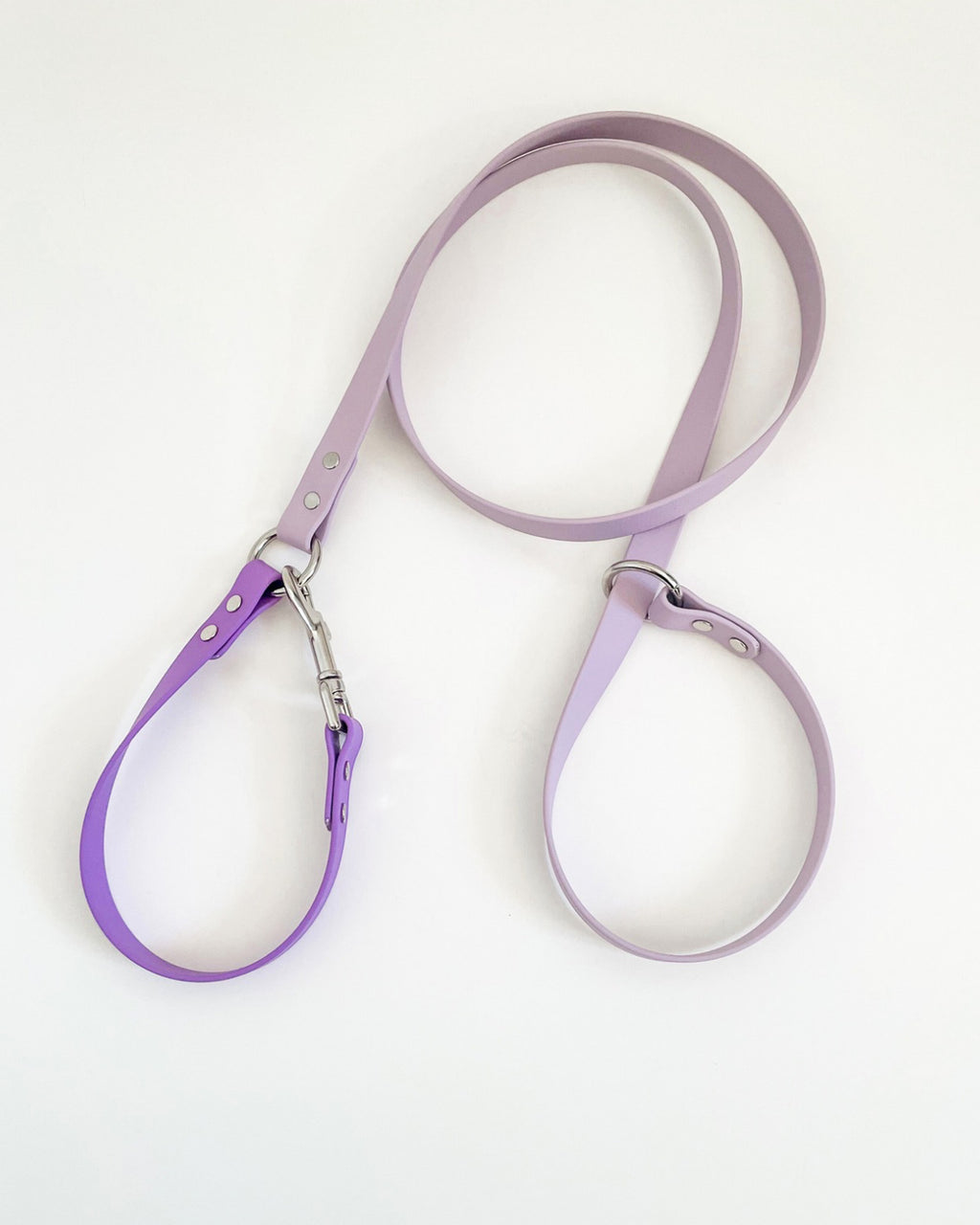 2-in-1 Slip Lead image 1