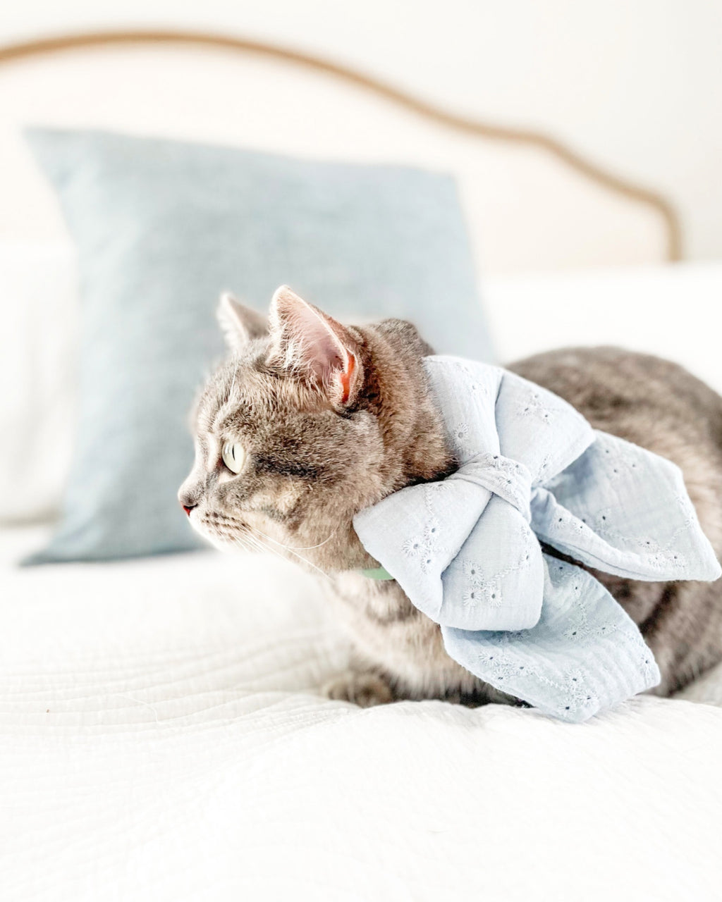 Bluebell Lace image 3