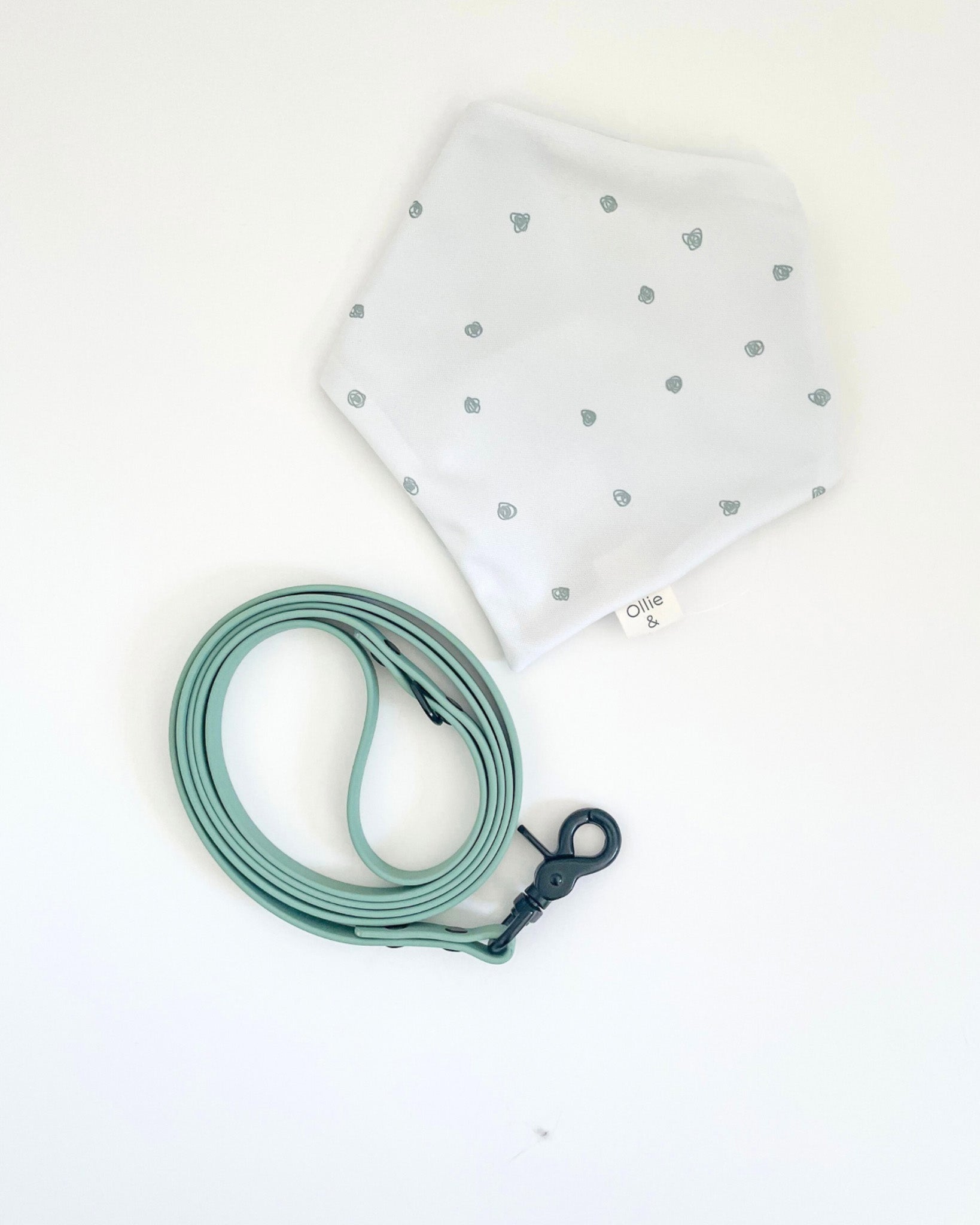 Thin Classic Leash image 12