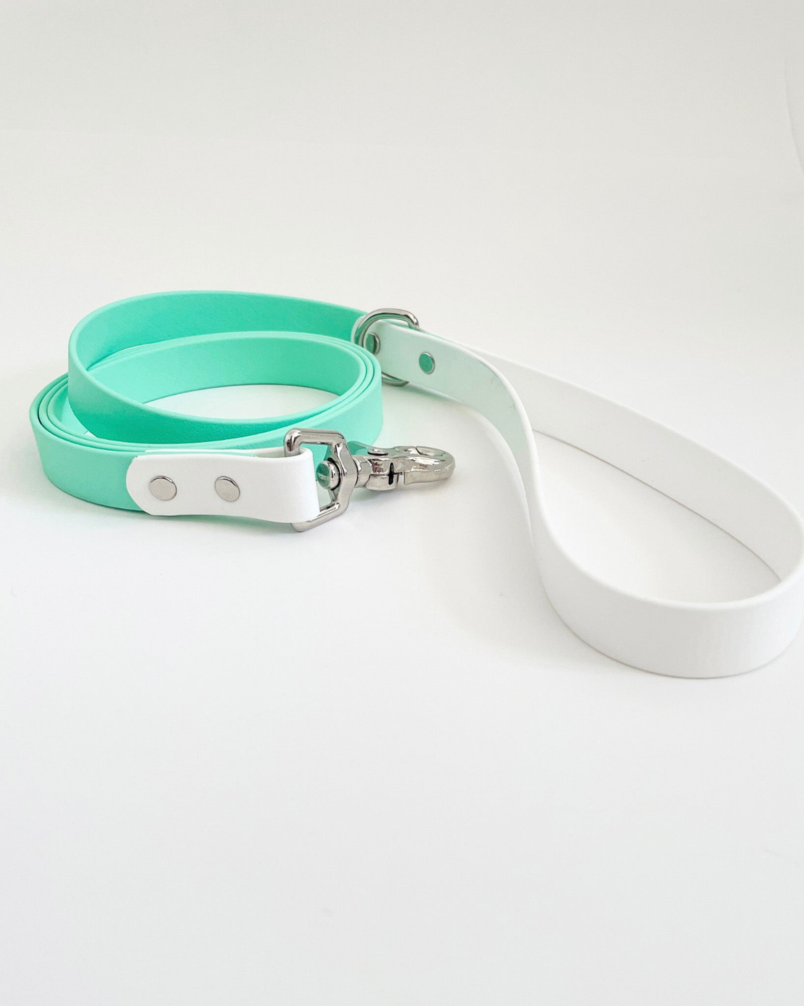 Two Tone Classic Leash image 5