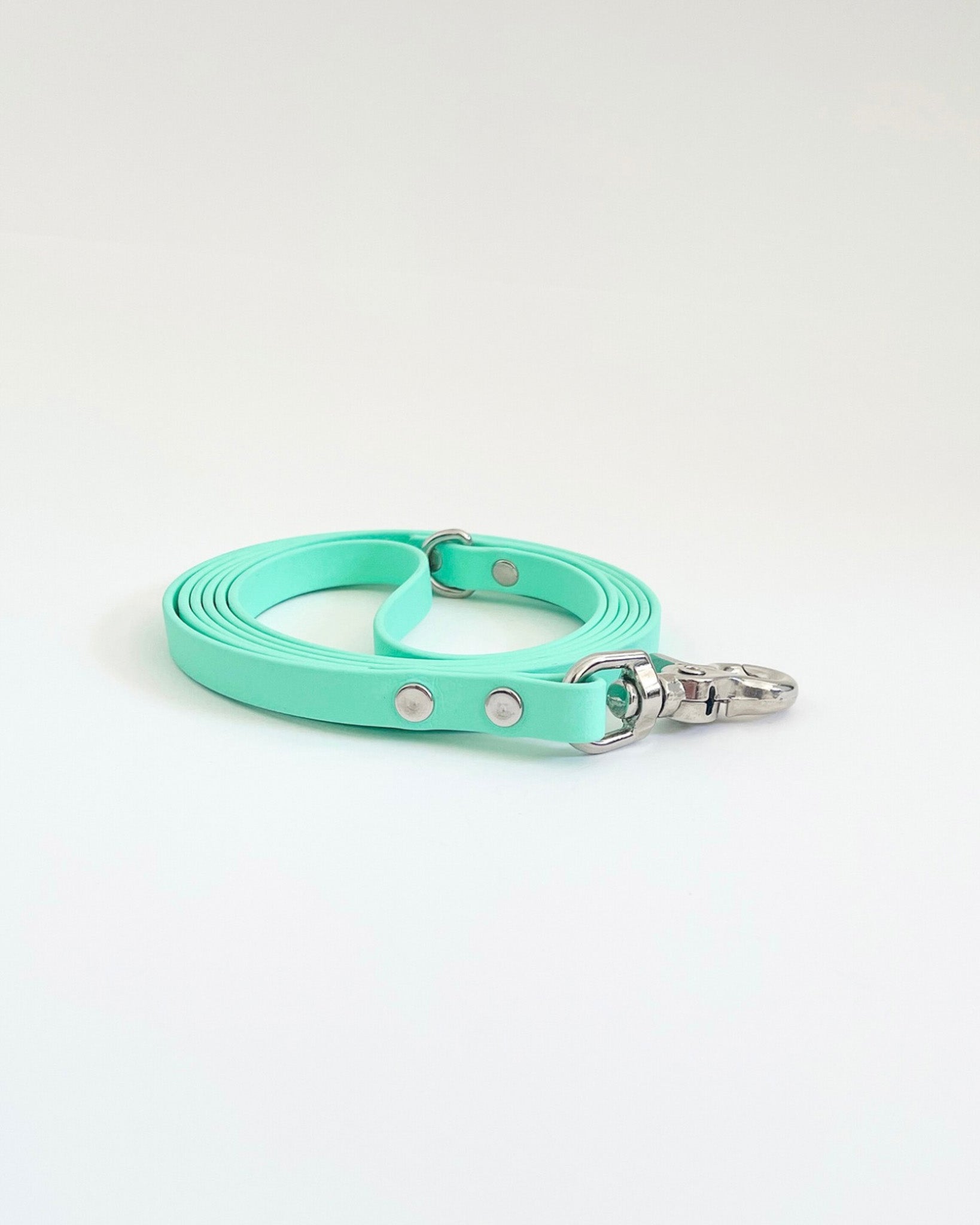 Thin Classic Leash image 5