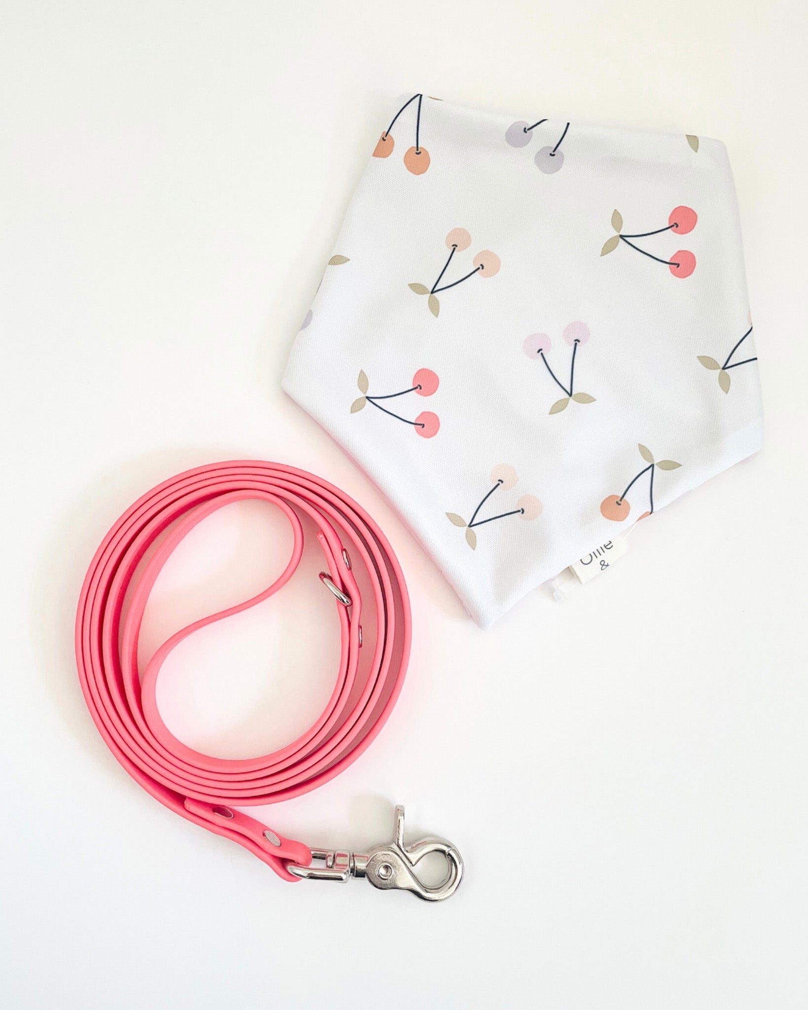 Thin Classic Leash image 9