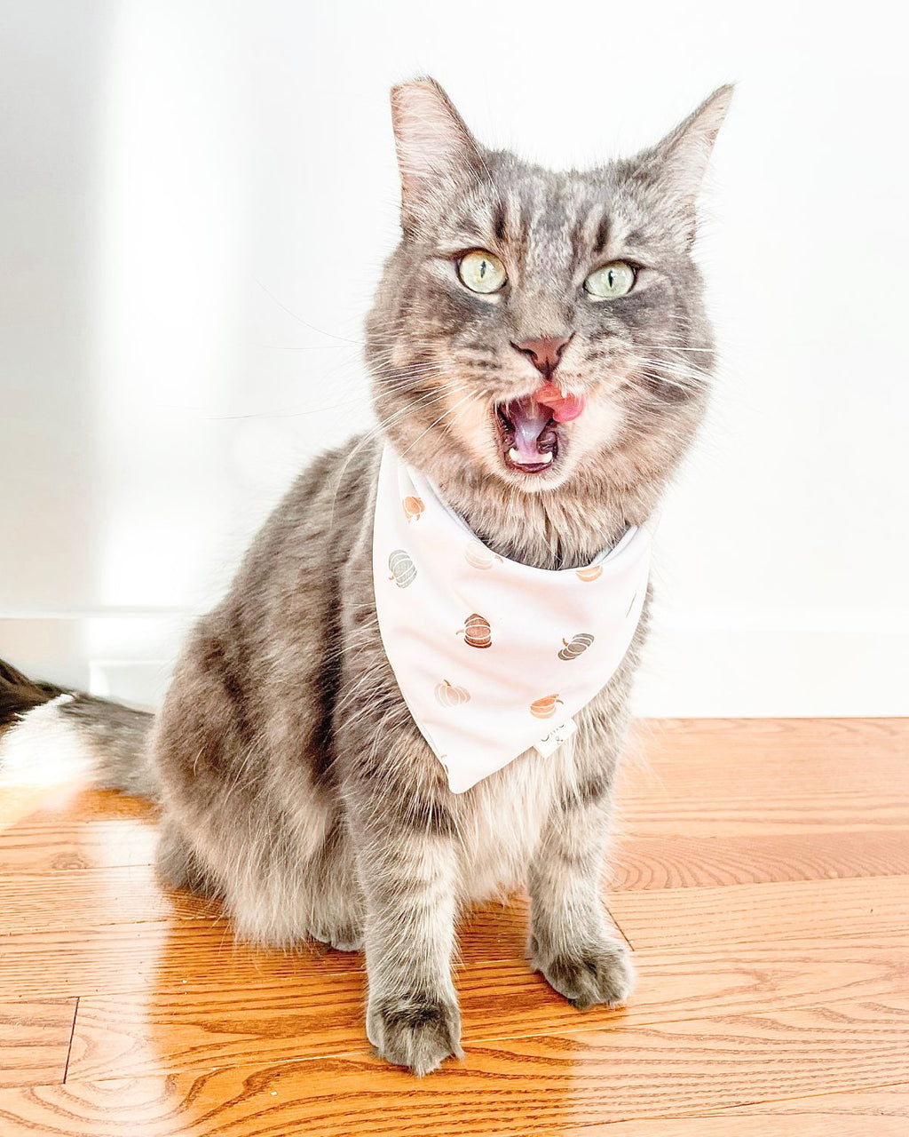 Harvest Grove image 3