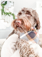 Two Tone Classic Leash - Camel/Navy