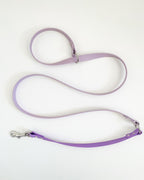 2-in-1 Slip Lead image 3