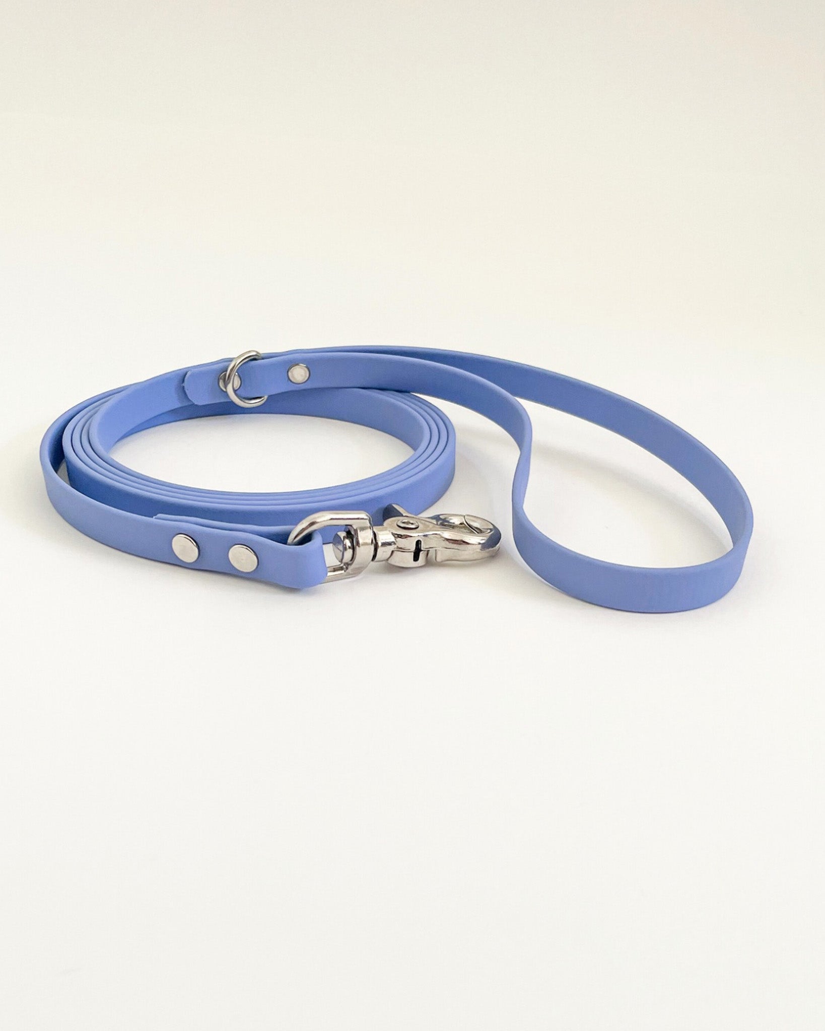 Thin Classic Leash image 1