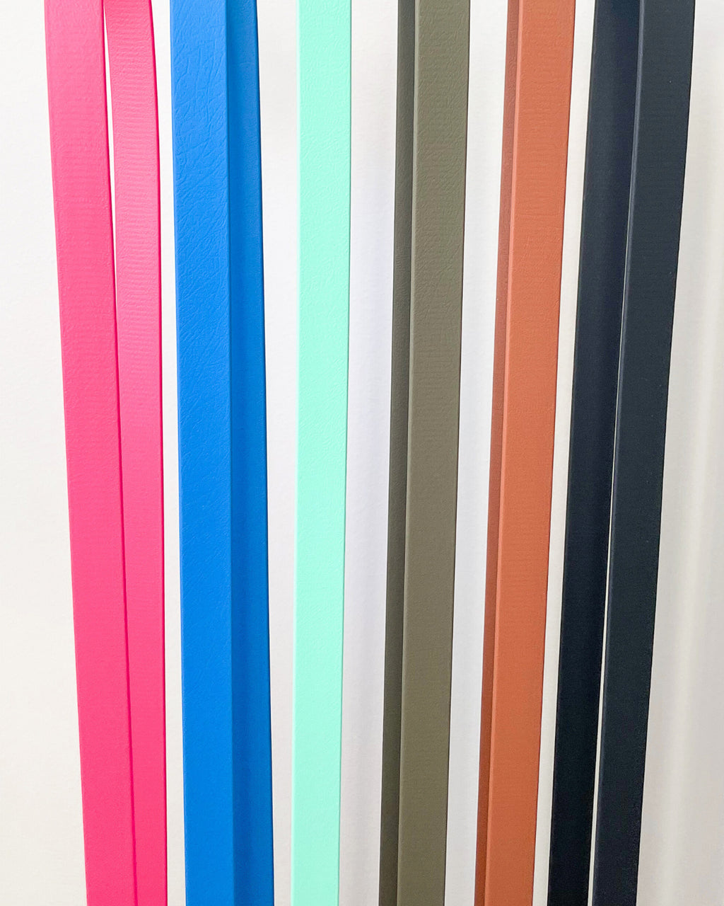 Classic Leash image 12