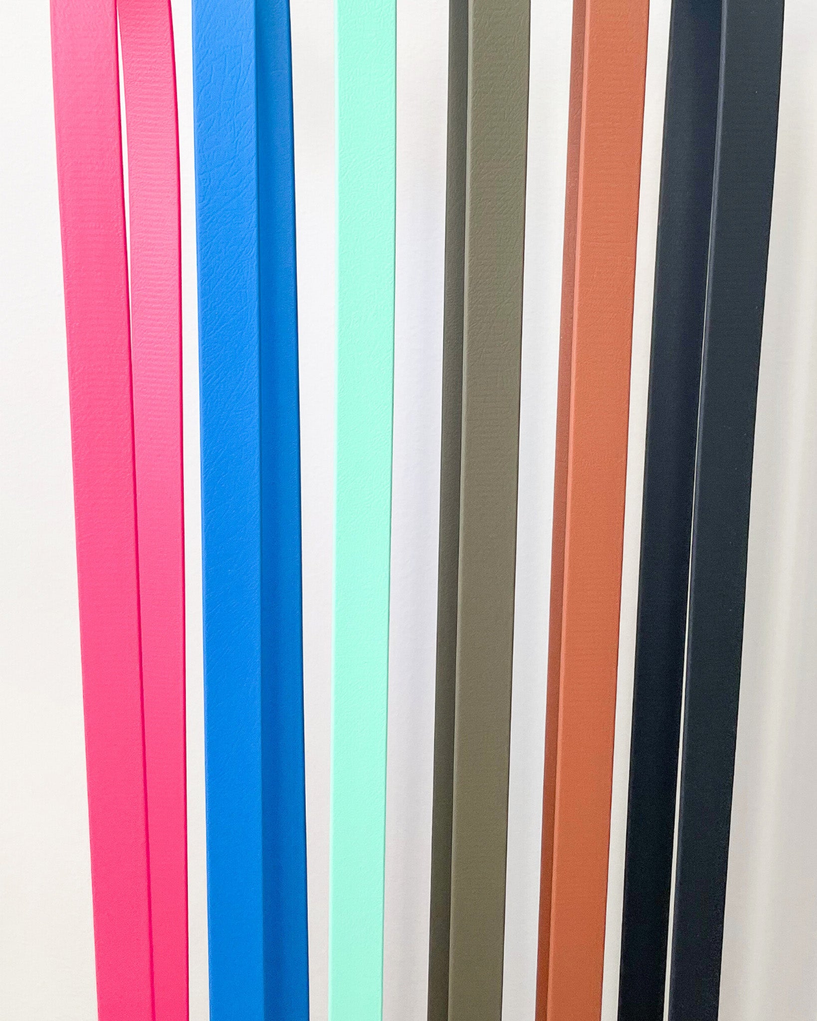 Classic Leash image 12