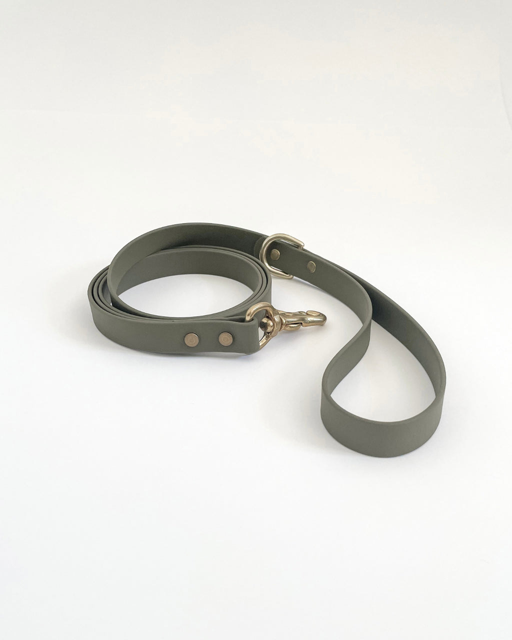 Classic Leash image 3