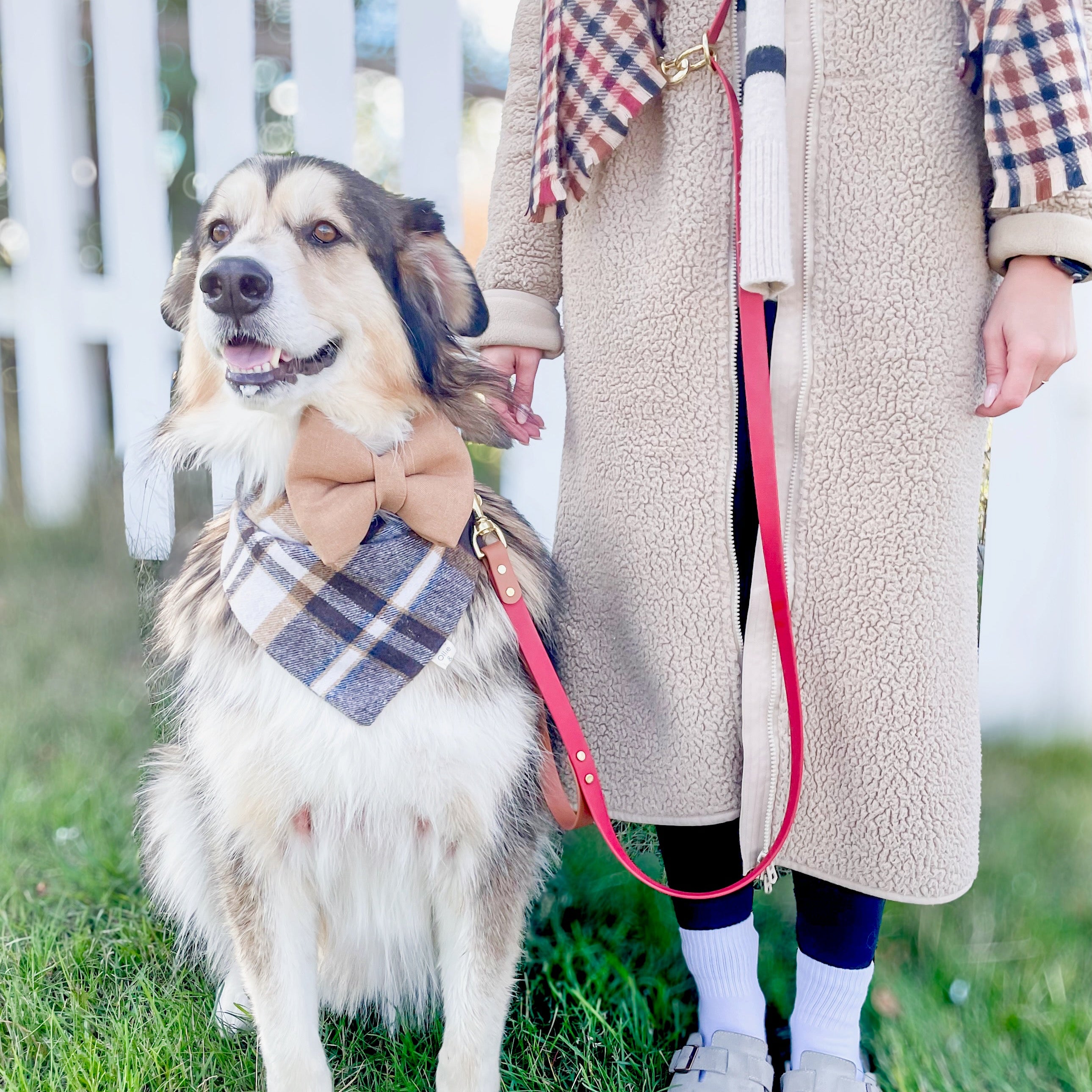 Dog wearing a bow tie and plaid scarf with a person in a coat standing outdoors.