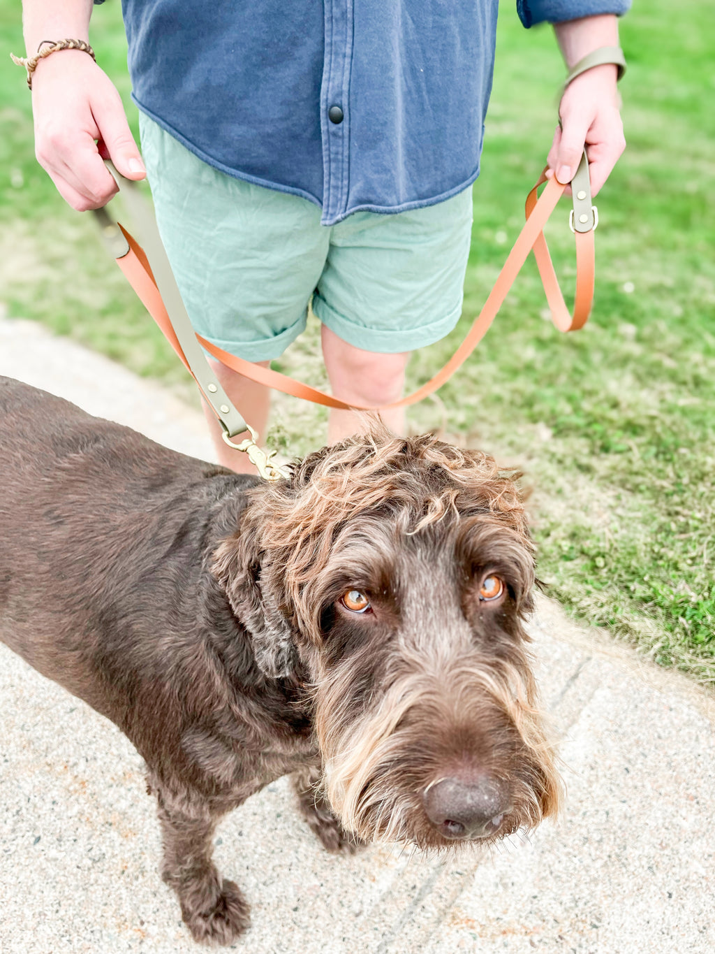 Two Tone Classic Leash - Camel/Olive