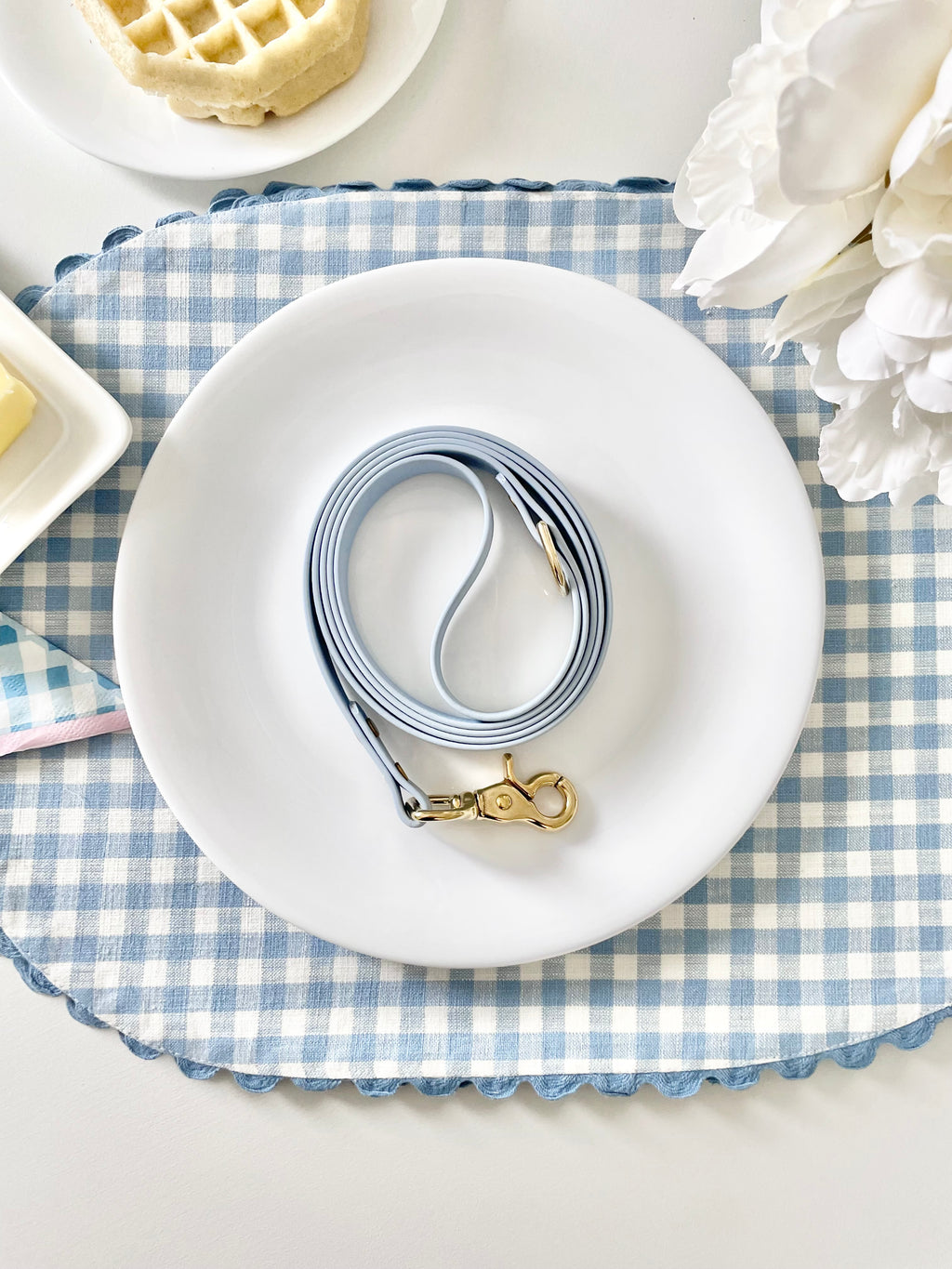 Blueberry Classic Leash