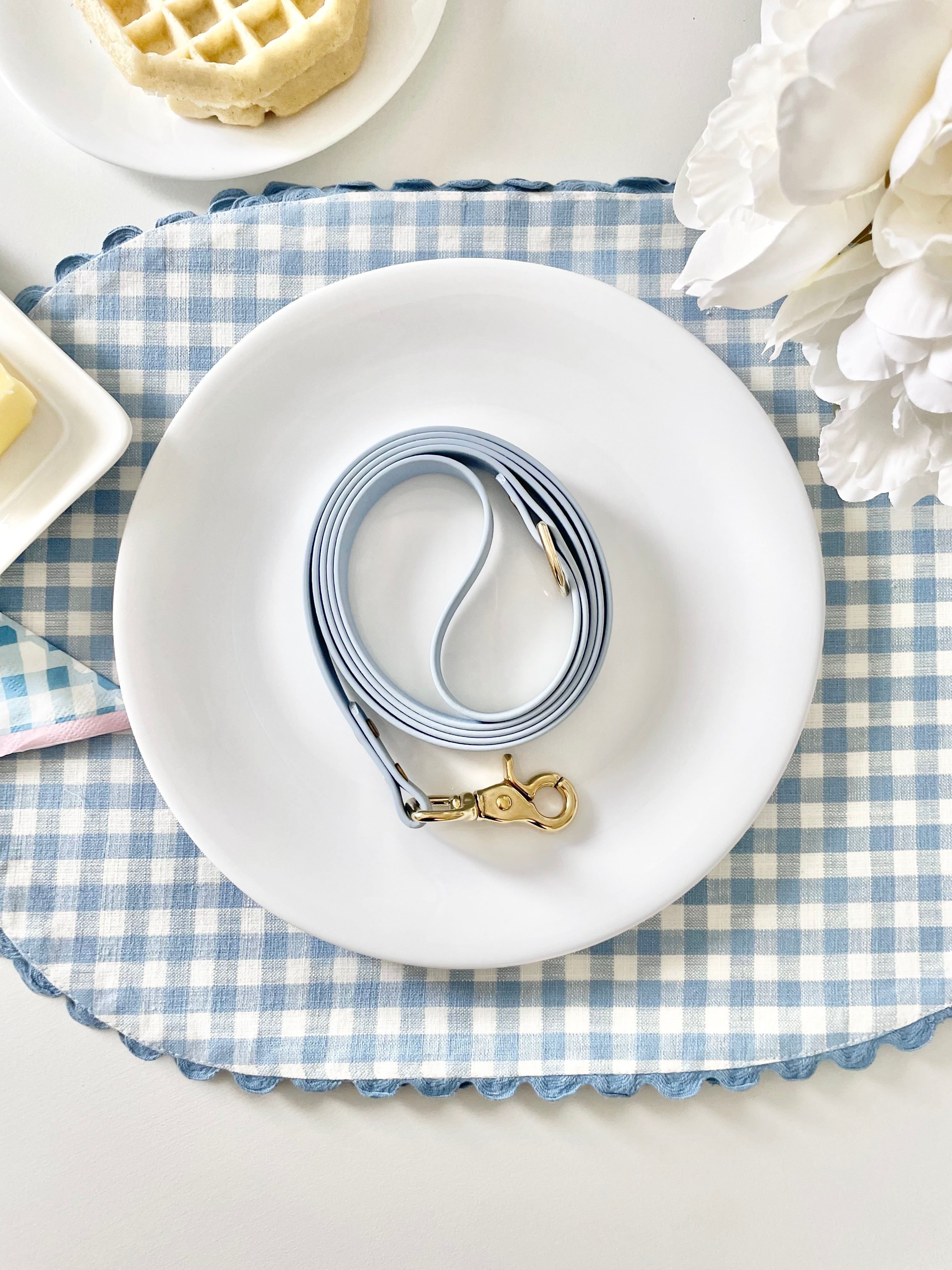 Blueberry Classic Leash