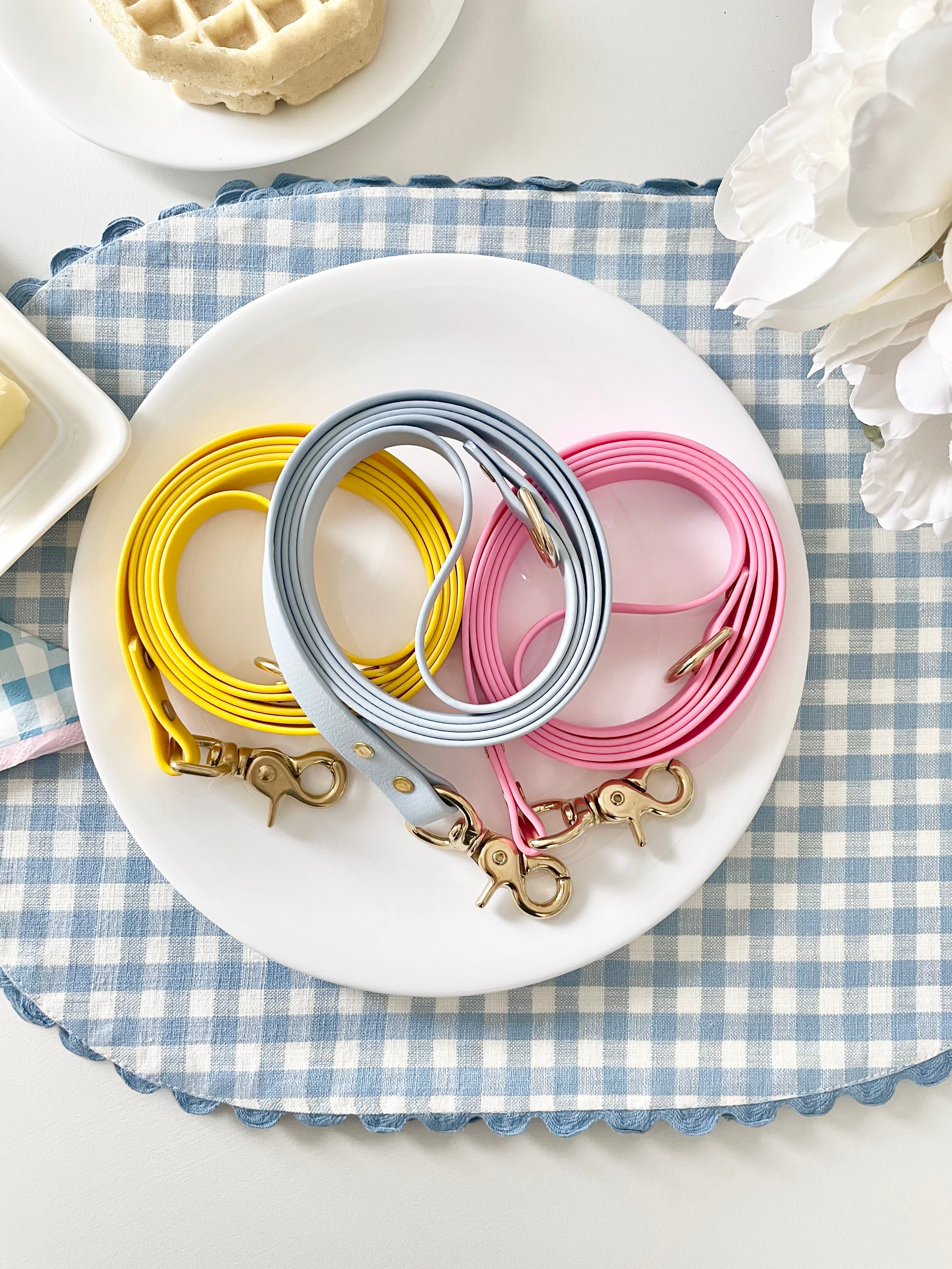 Blueberry Classic Leash
