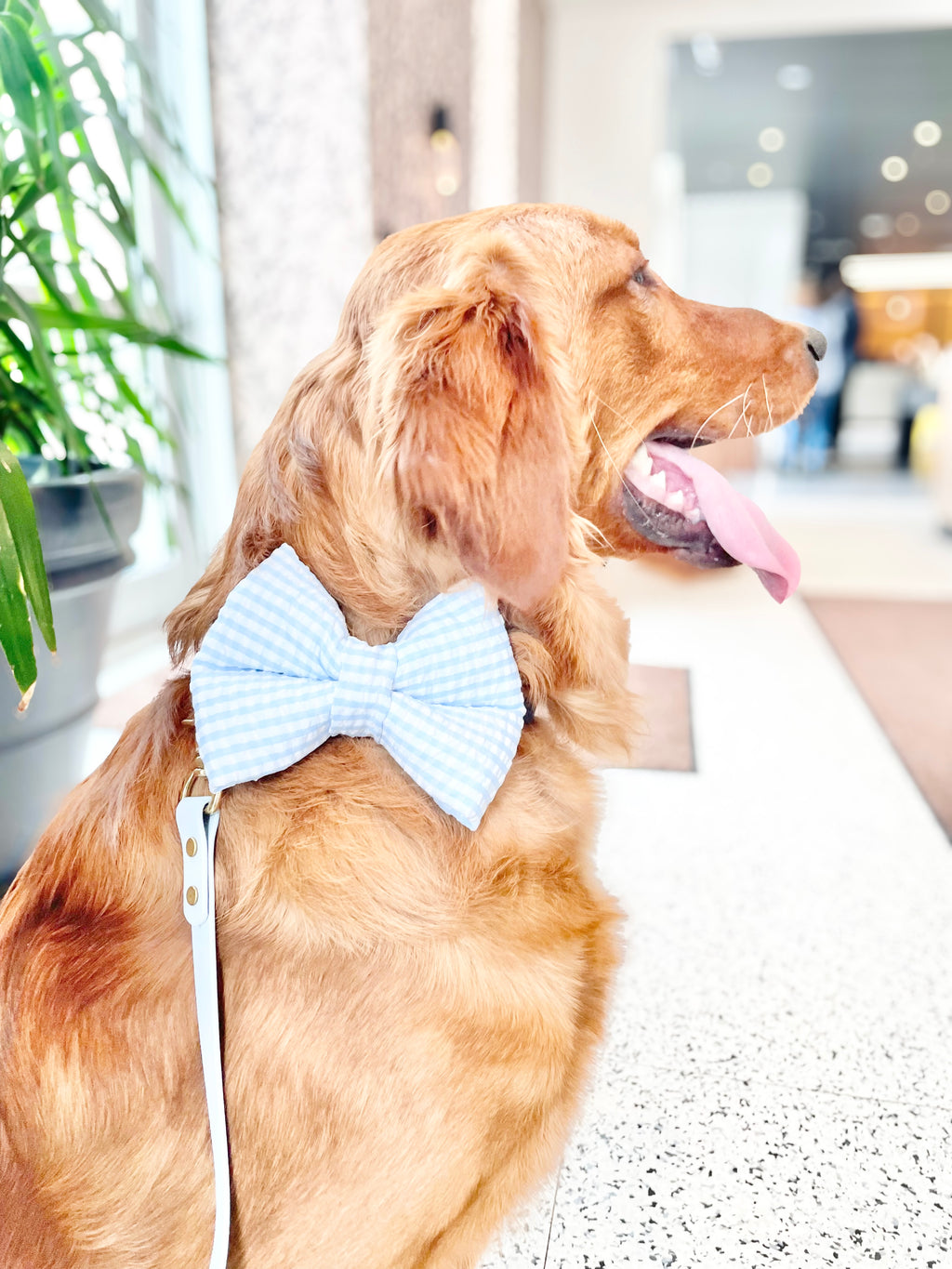 Sunday Picnic Bow Tie