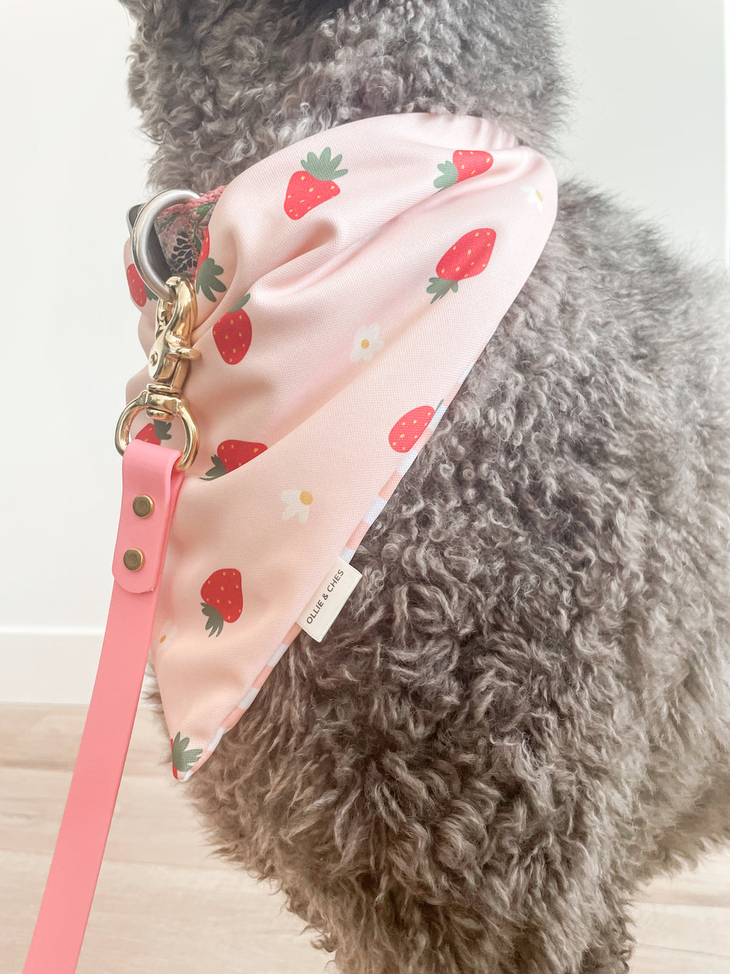 Strawberries & Cream