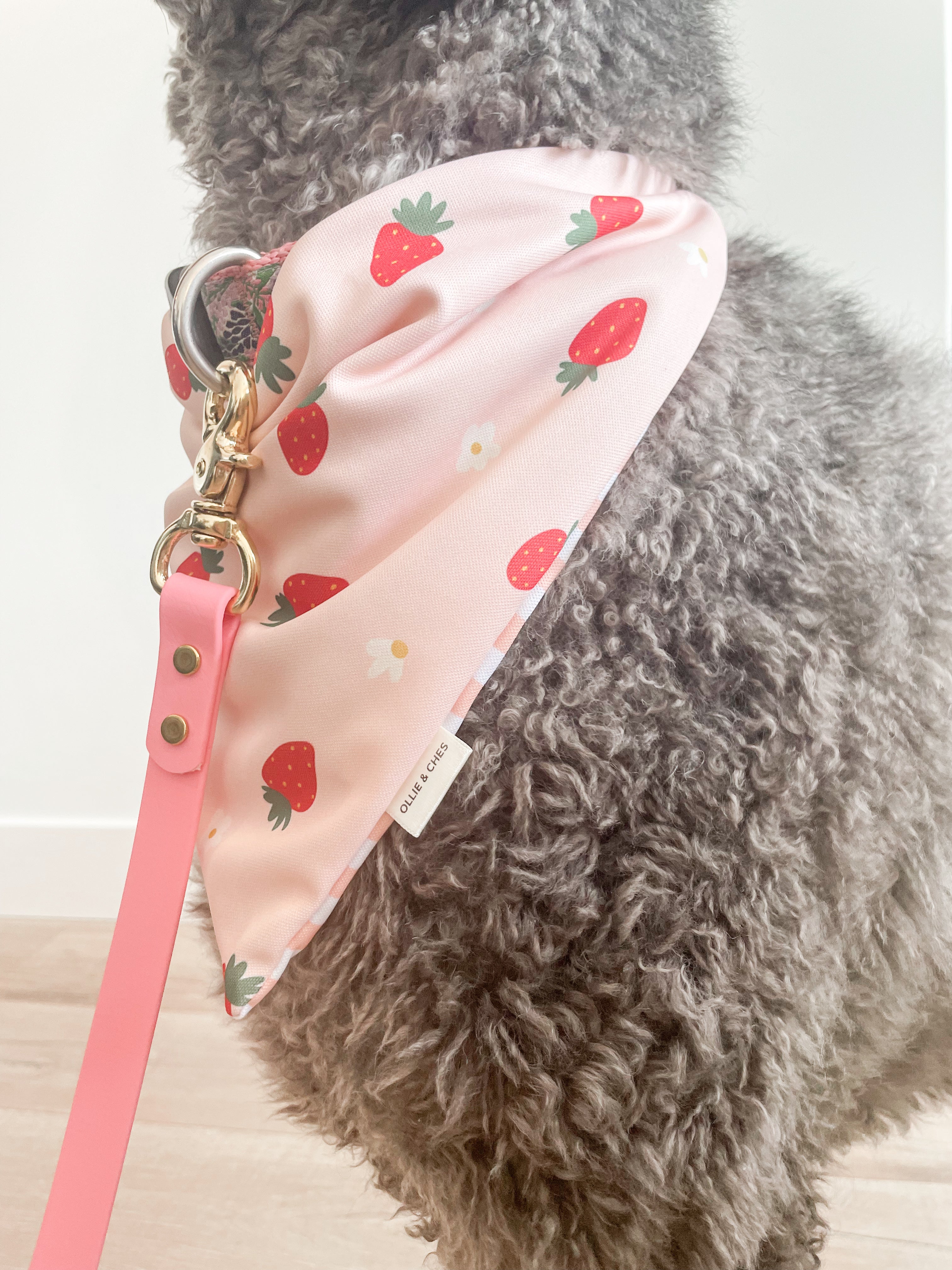 Strawberries & Cream