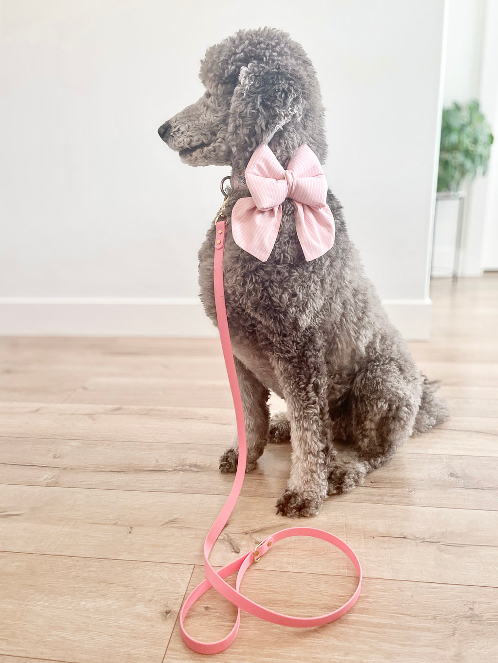 Berry Sweet Sailor Bow