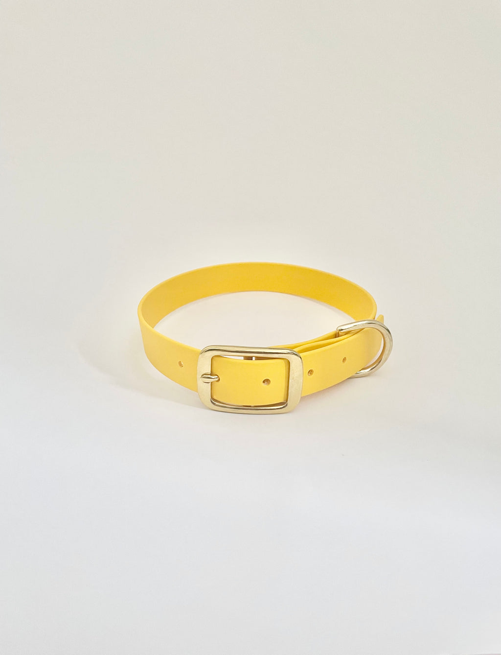 Brunch Classic Collar