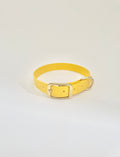 Brunch Classic Collar