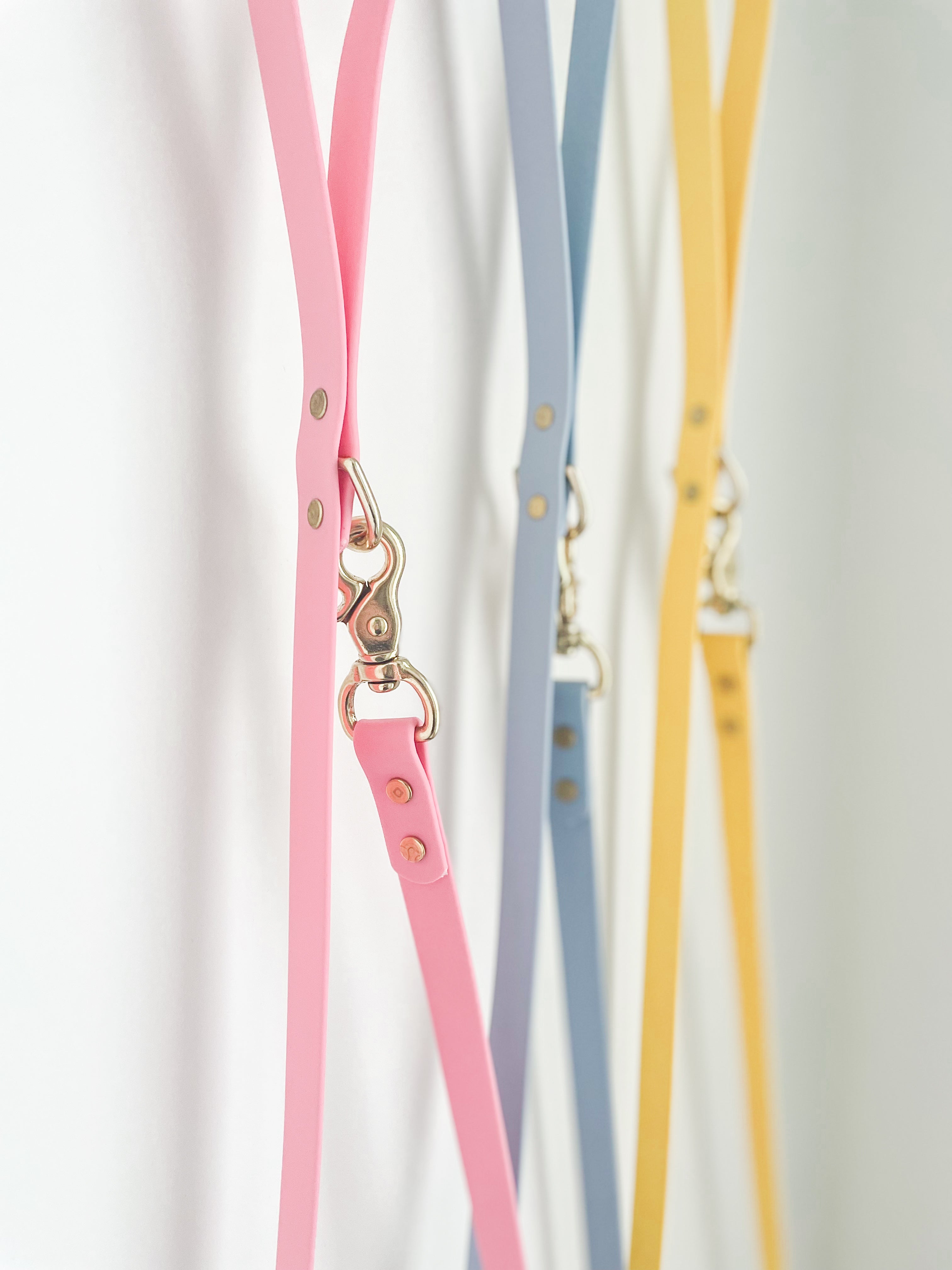 Blueberry Classic Leash