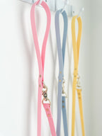 Blueberry Classic Leash