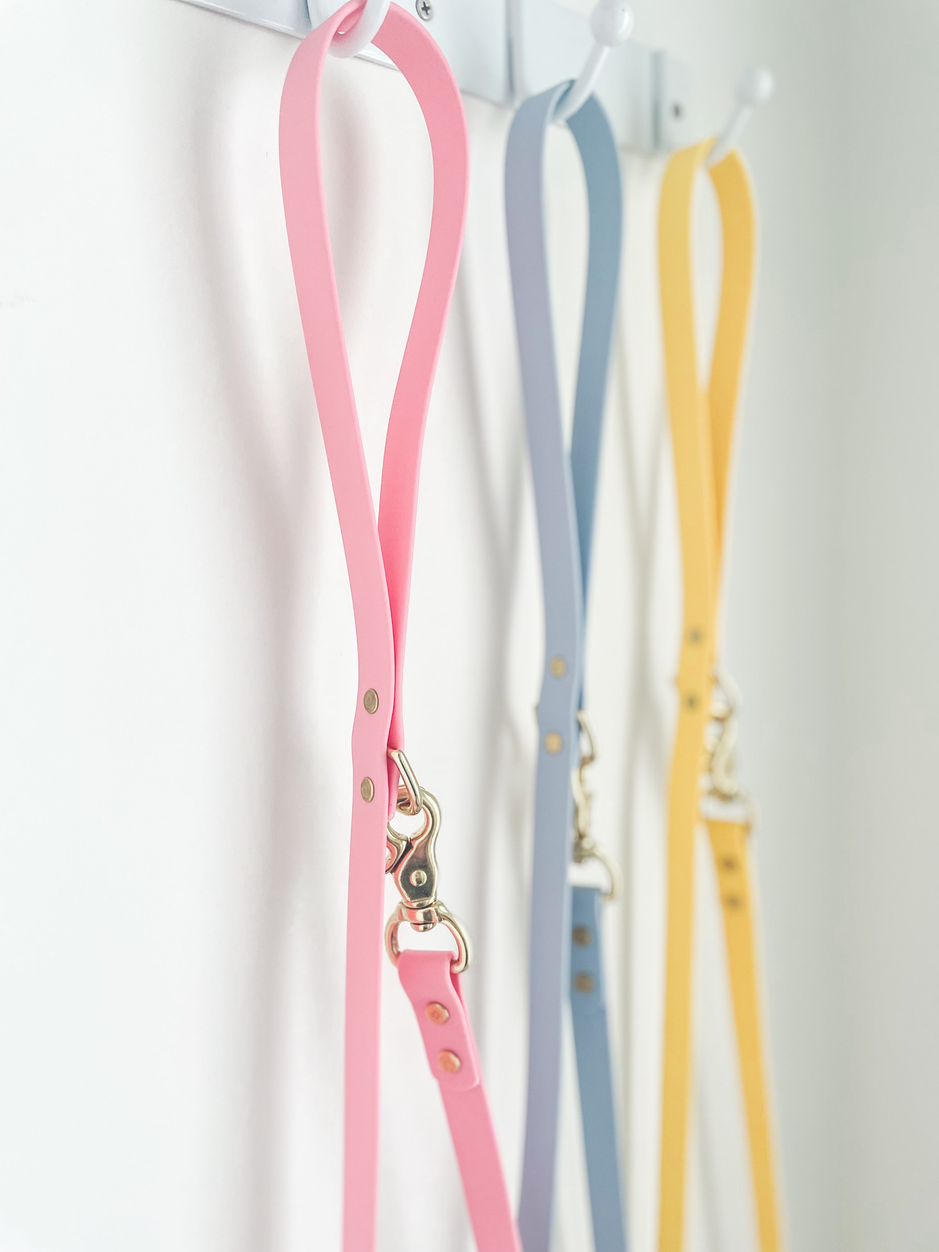 Blueberry Classic Leash