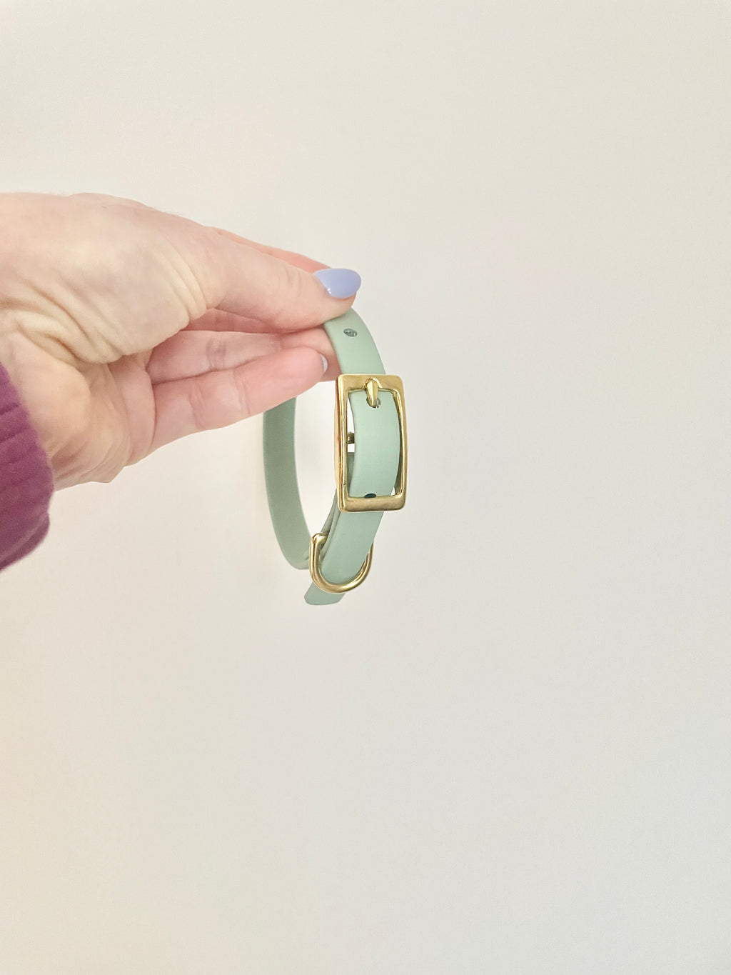 Thin Classic Collar