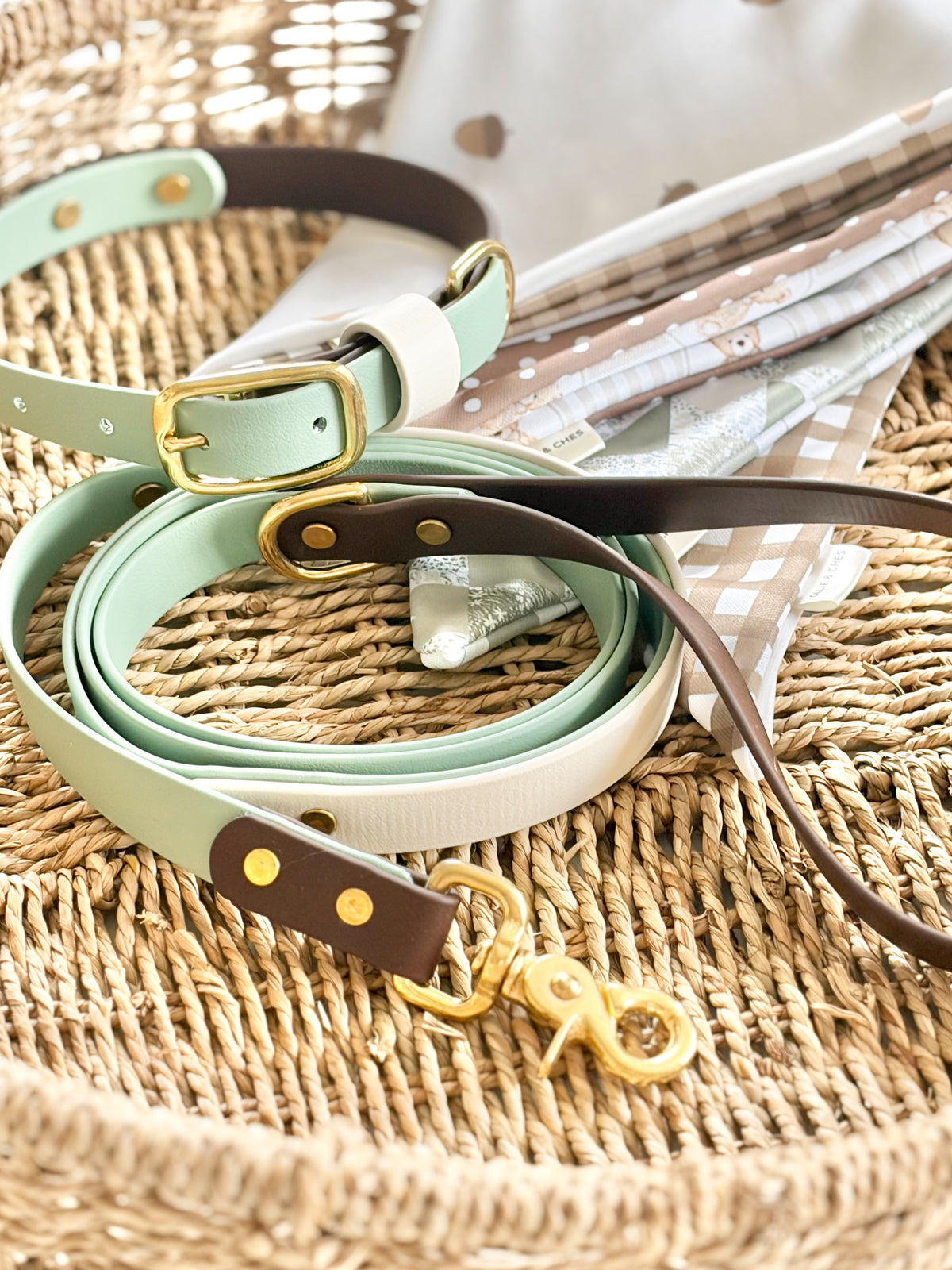 Cozy Season Collar