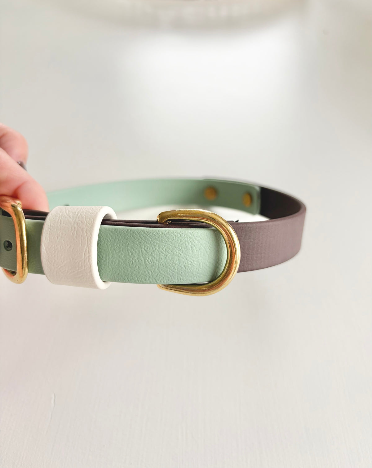 Cozy Season Collar