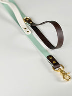 Cozy Season Leash
