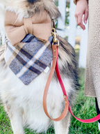 Classic Leash w/ Traffic Handle