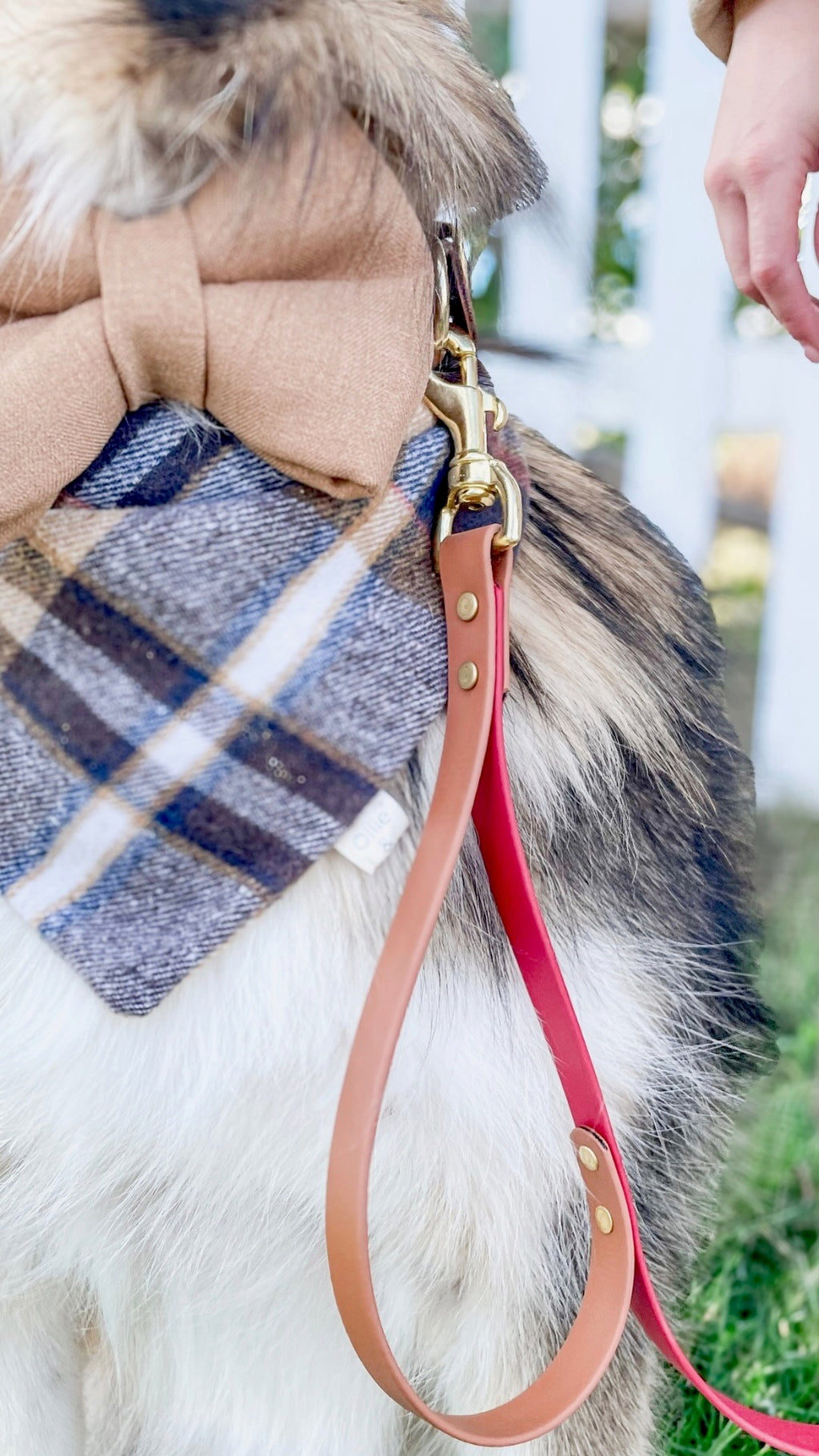 Two Tone Classic Leash - Cranberry/Camel