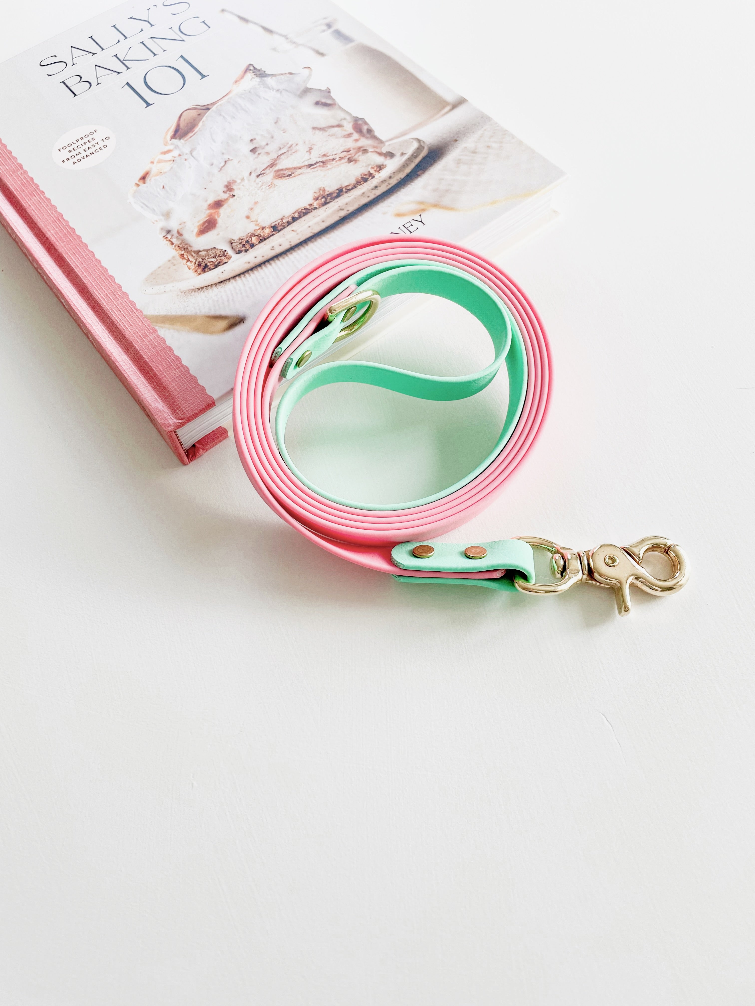 Custom Color Two Tone Classic Leash