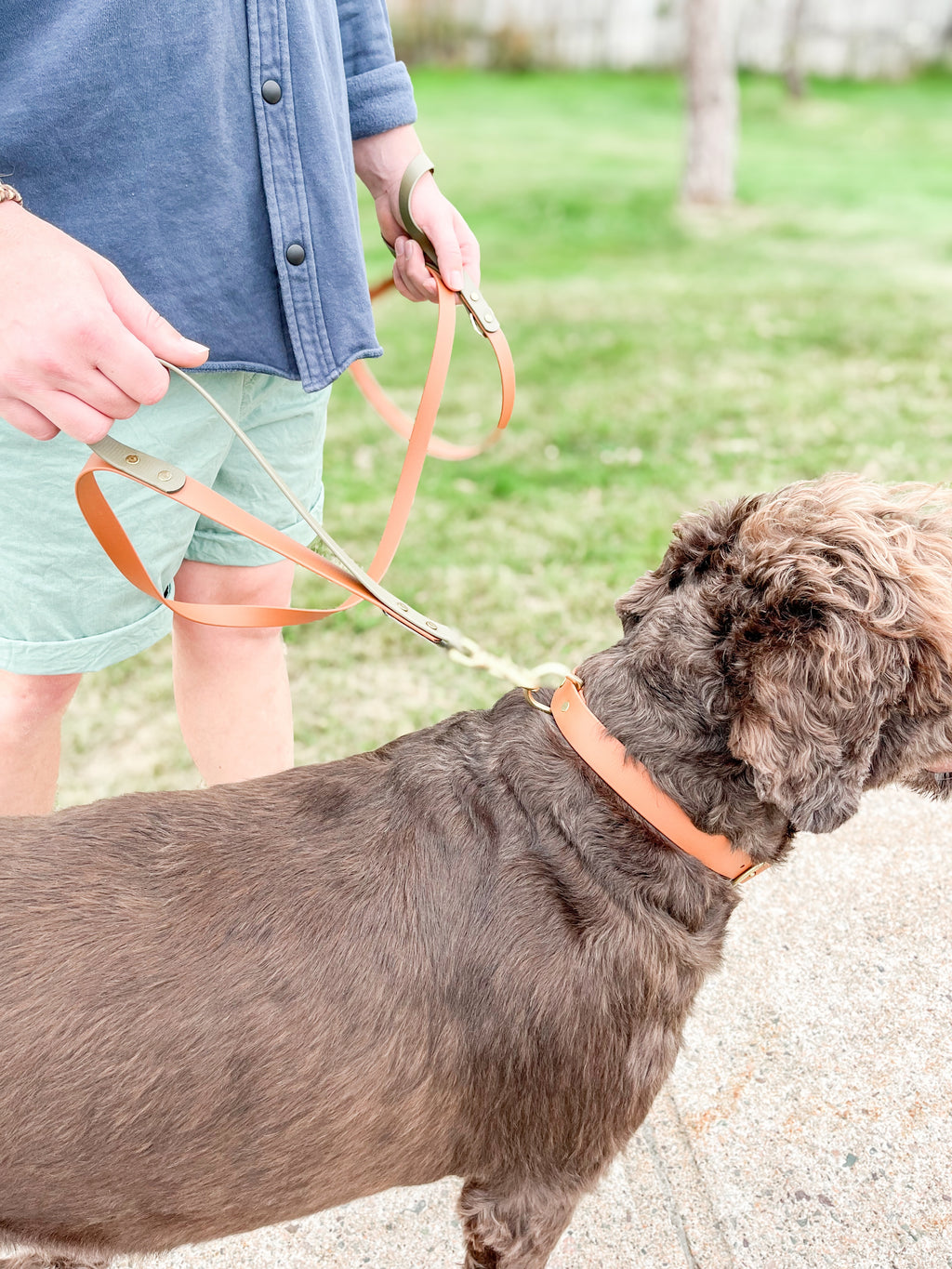 Classic Leash w/ Traffic Handle