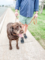 Classic Leash w/ Traffic Handle