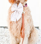 Dog wearing a large white bow and a pink leash on a white background