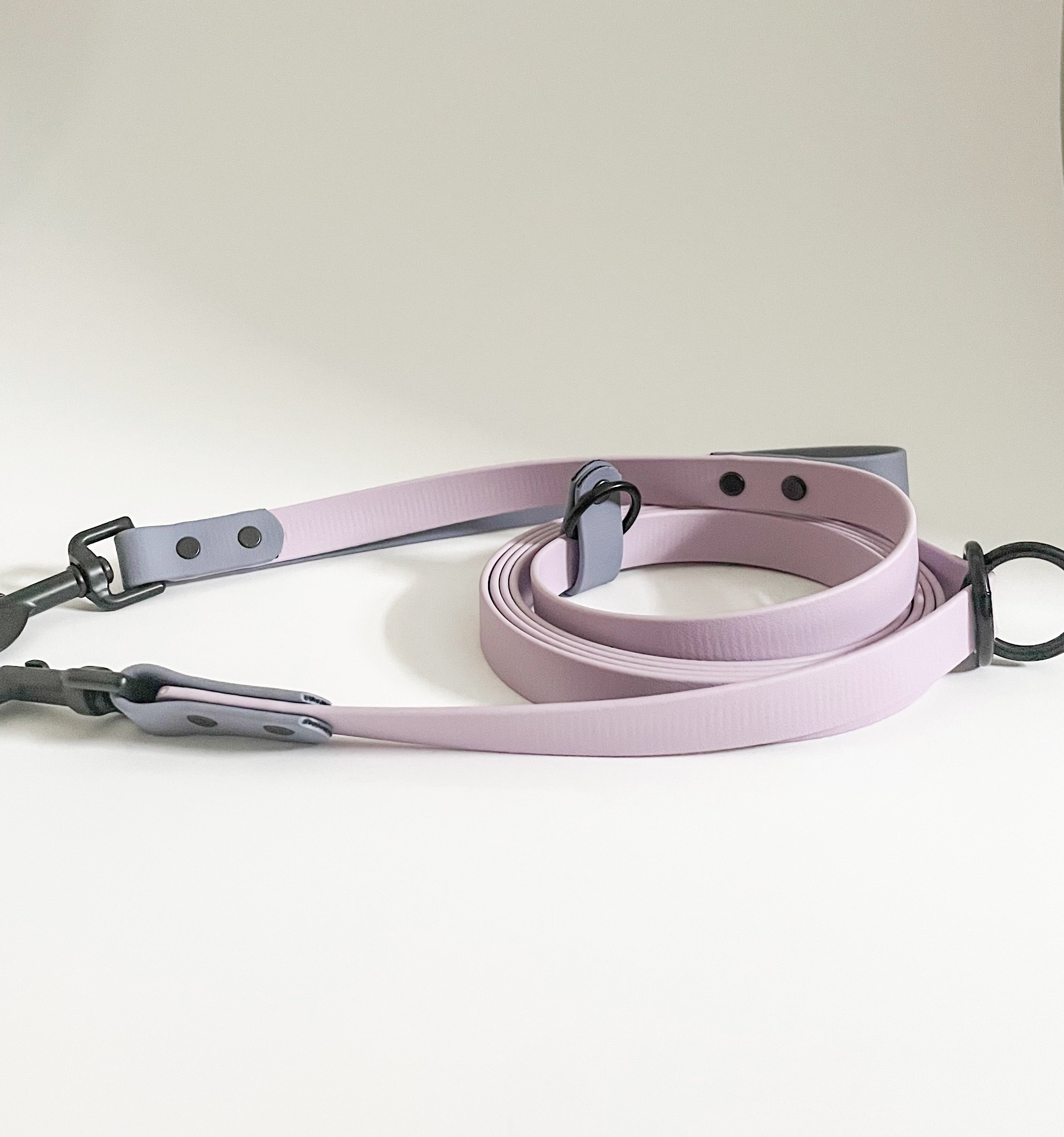 Custom Color Two-Tone Multi-Way Hands Free Leash