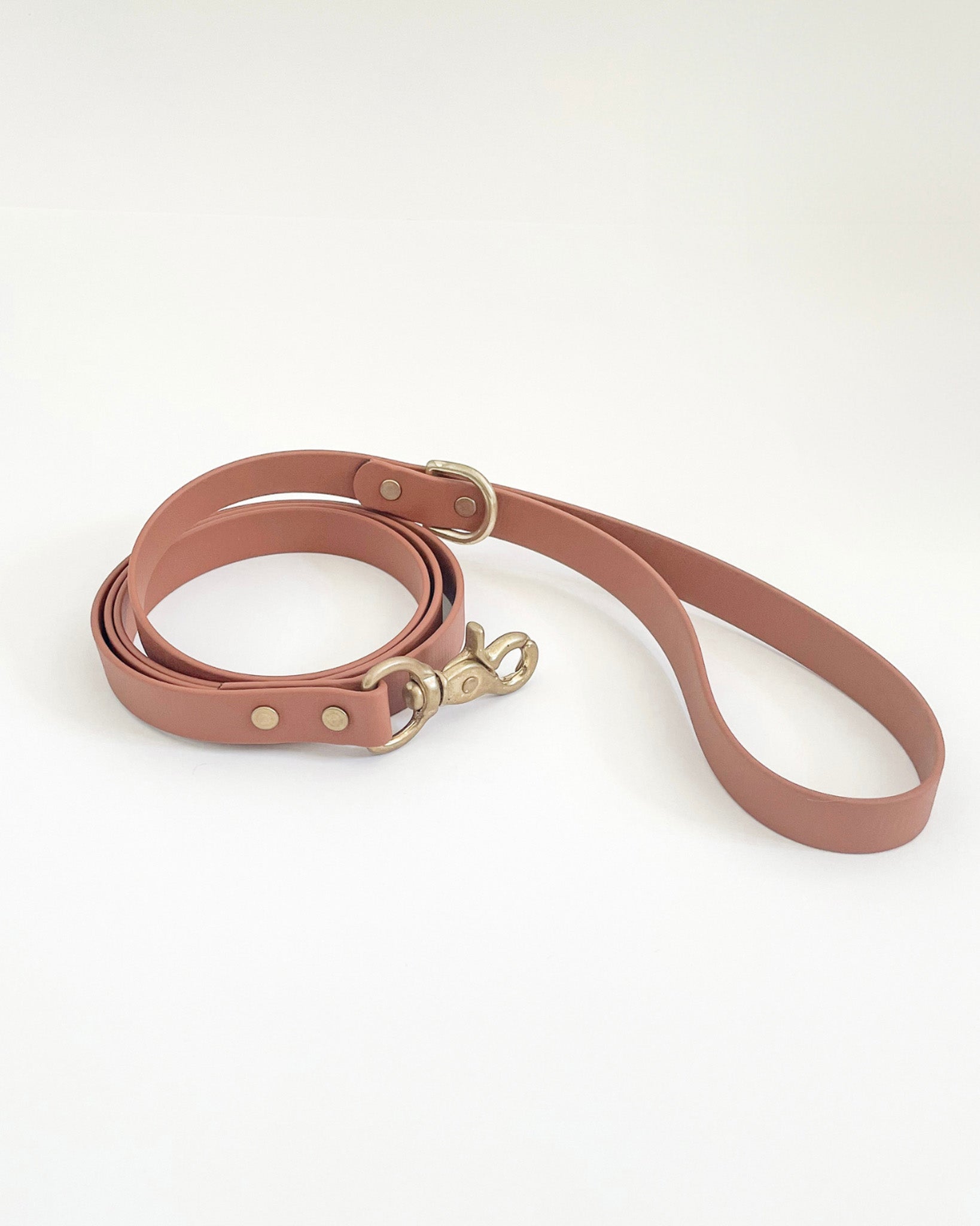 Classic Leash image 1