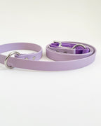 2-in-1 Slip Lead image 0