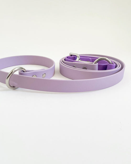 2-in-1 Slip Lead image 0